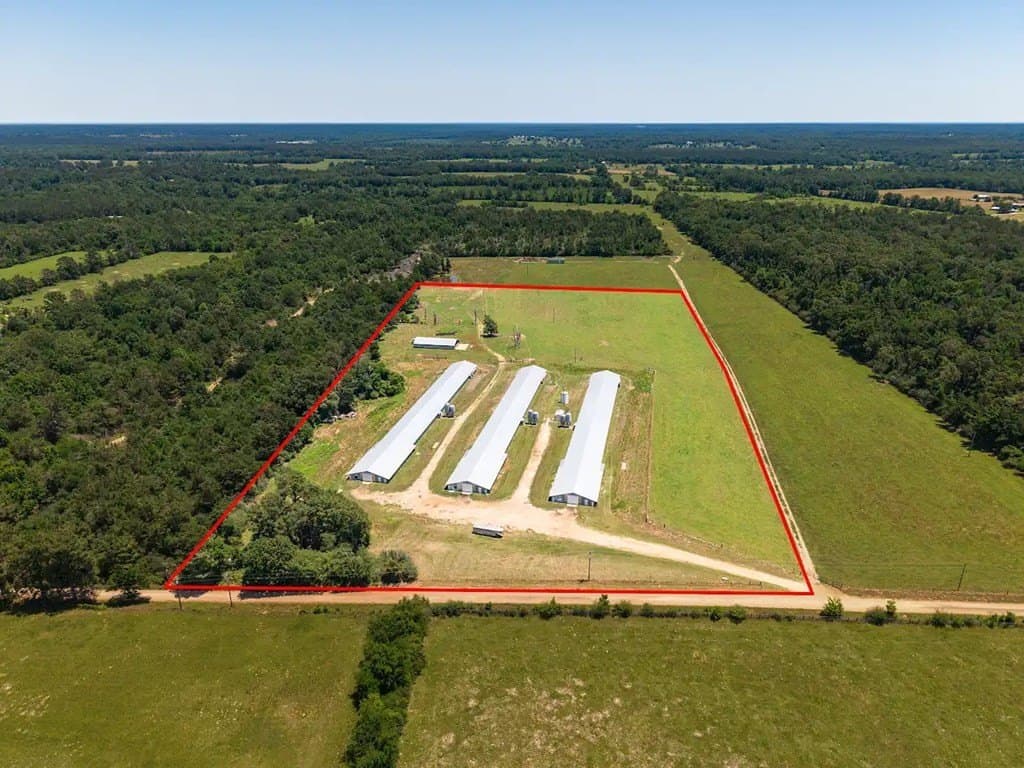 35 acres in Texas County featured view