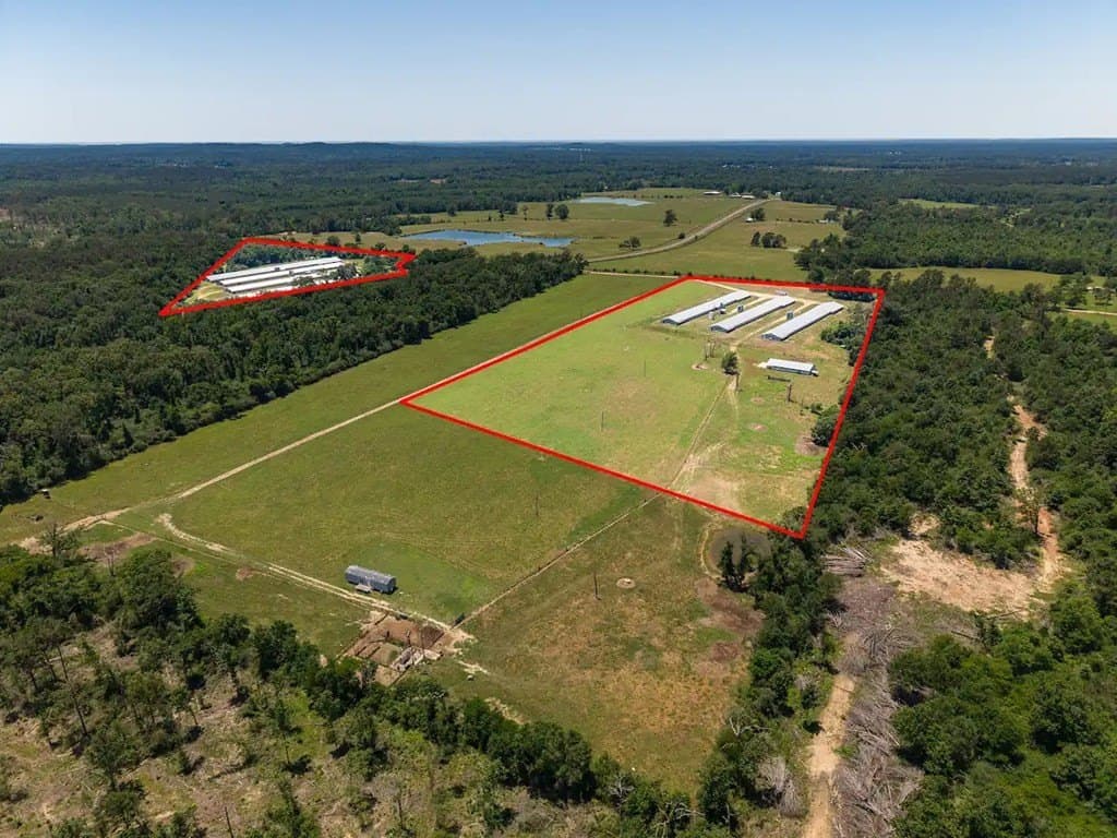 35 acres in Texas County gallery image 2