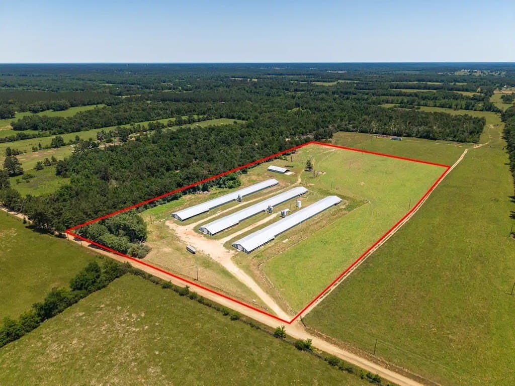 35 acres in Texas County gallery image 4