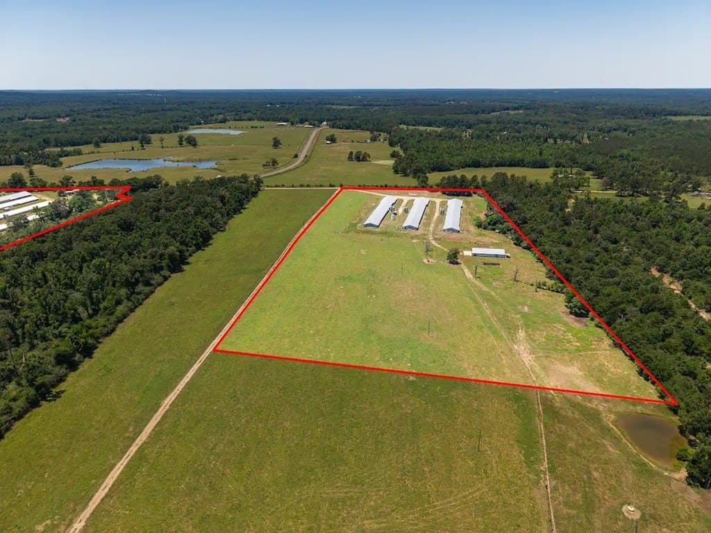 35 acres in Texas County gallery image 3