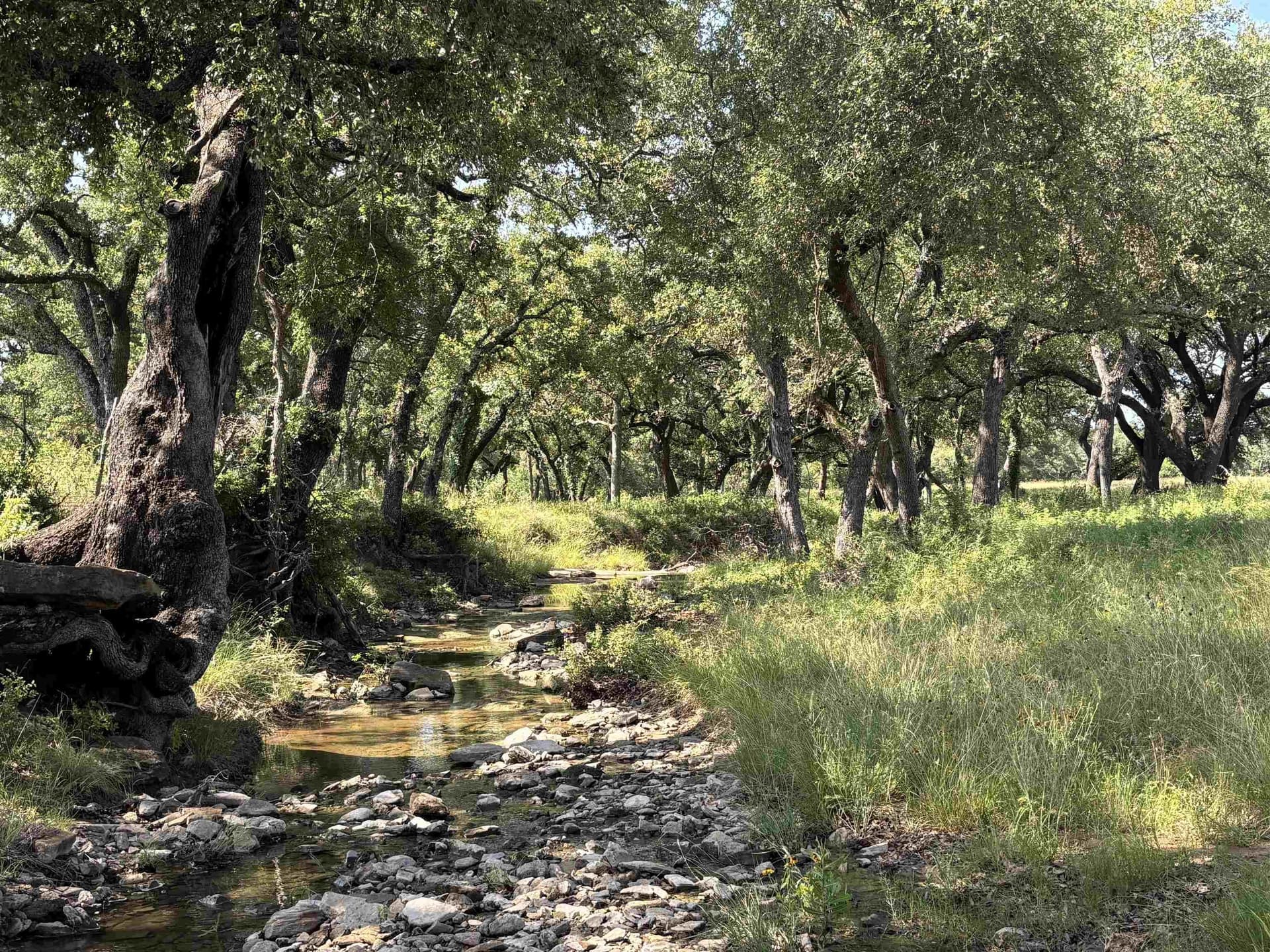 400 acres in San Saba County