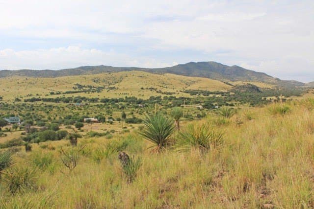 10 acres in Jeff Davis County