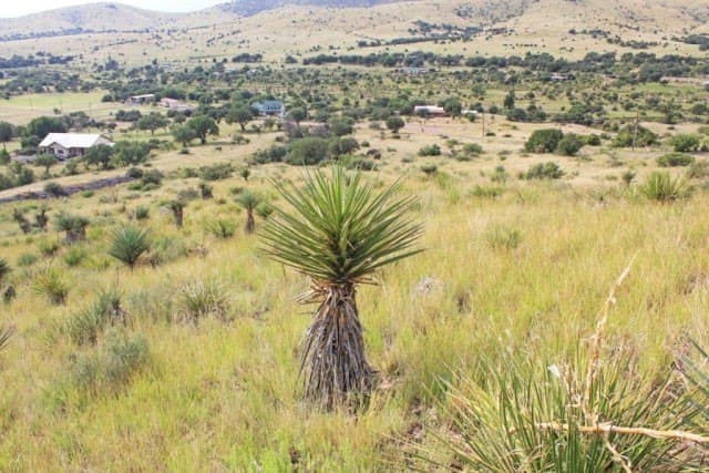 10 acres in Jeff Davis County gallery image 3