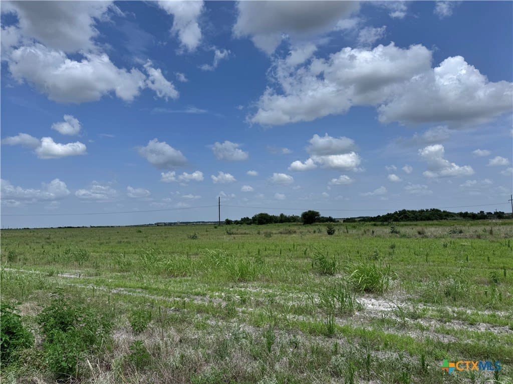 35.39 acres in Williamson County gallery image 4