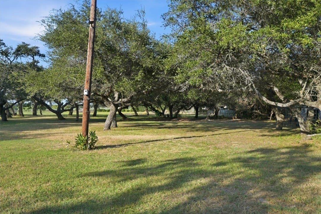 100,000 acres in San Patricio County - photo 34