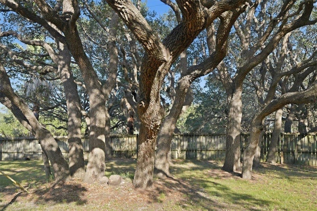 100,000 acres in San Patricio County - photo 33