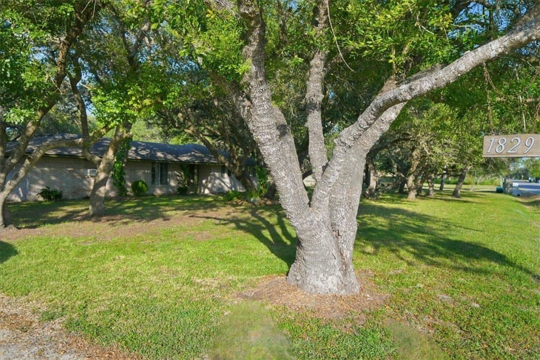 100,000 acres in San Patricio County - photo 9