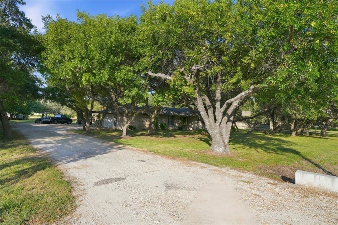 100,000 acres in San Patricio County - photo 3