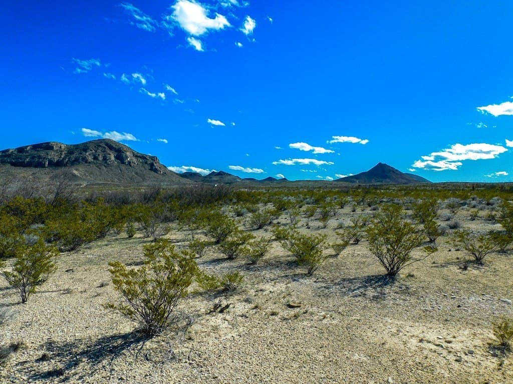 20 acres in Brewster County gallery image 2