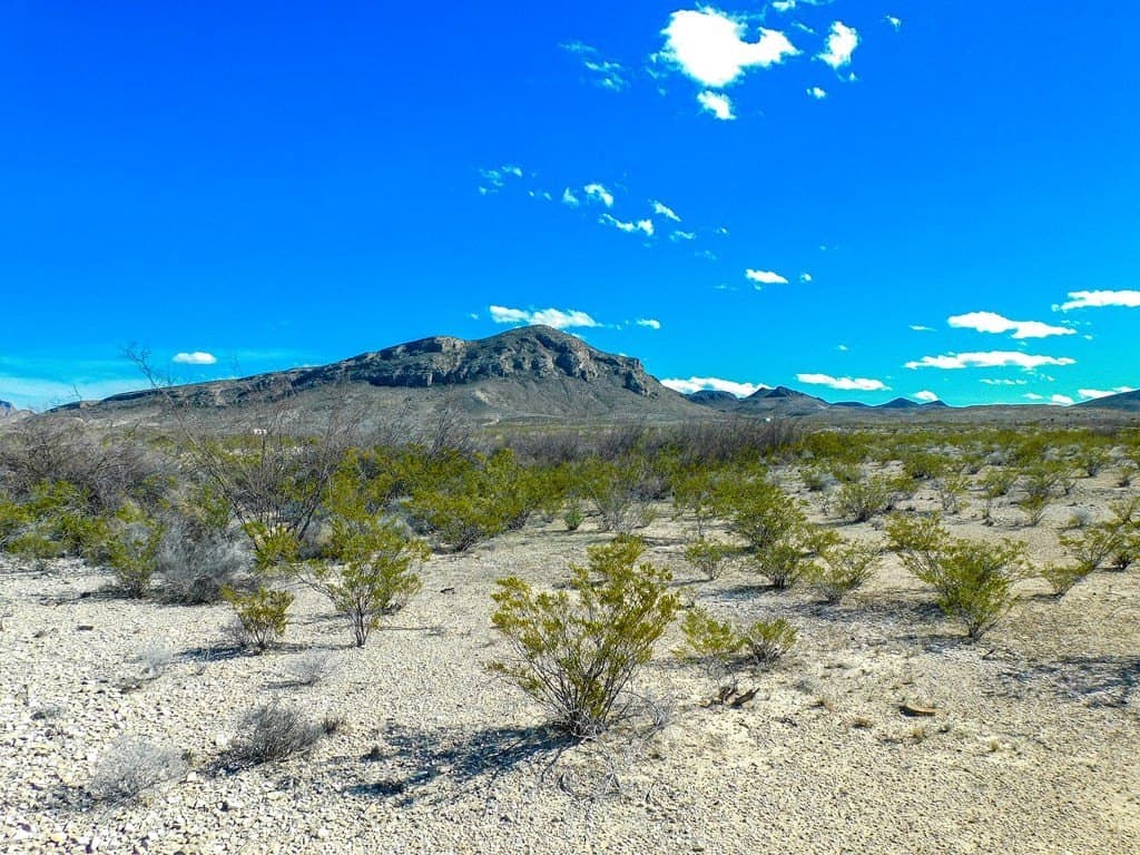 20 acres in Brewster County gallery image 4