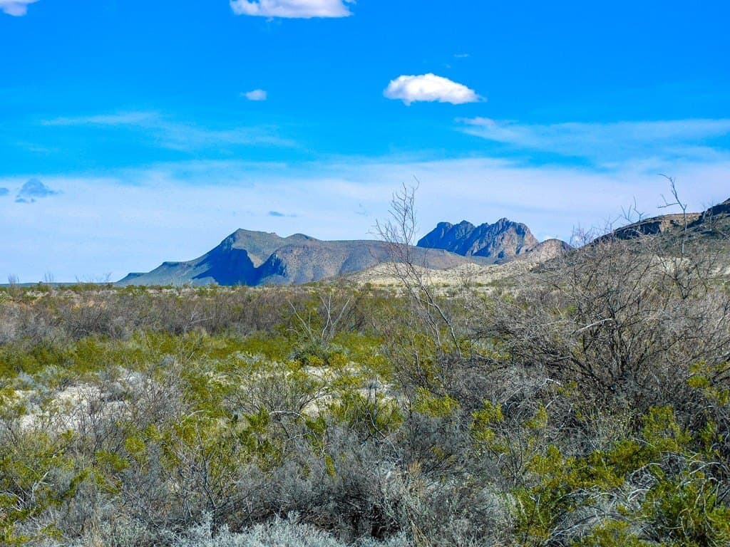 20 acres in Brewster County featured view