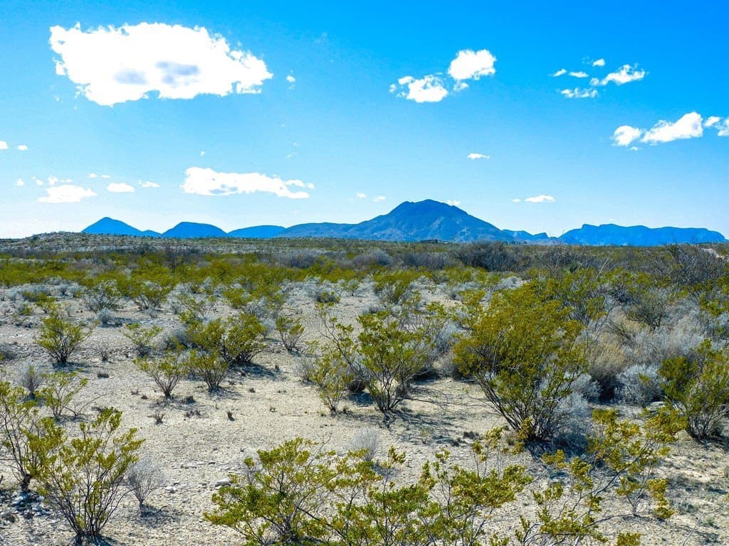 20 acres in Brewster County gallery image 3