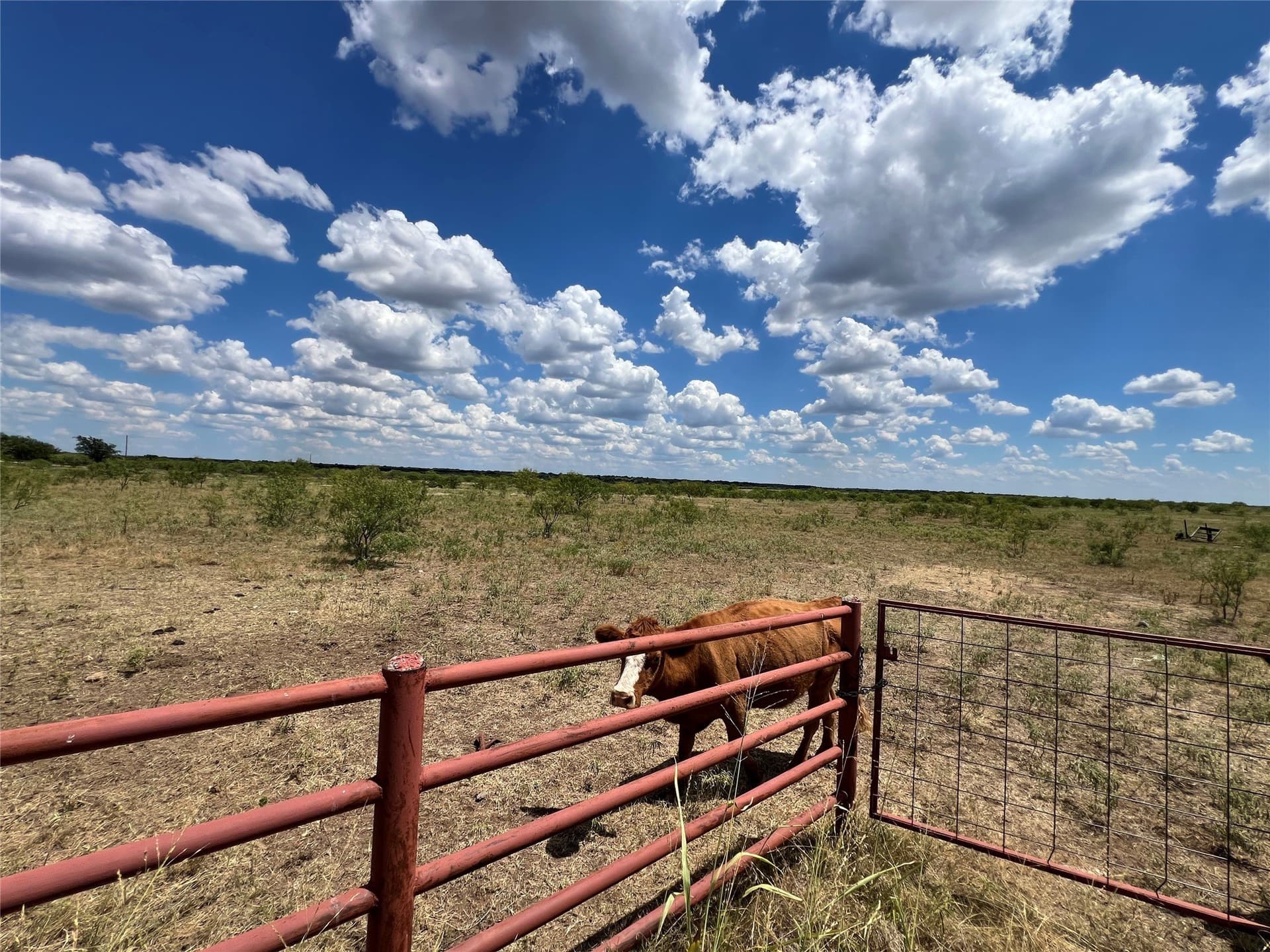 25.94 acres in Young County - photo 9