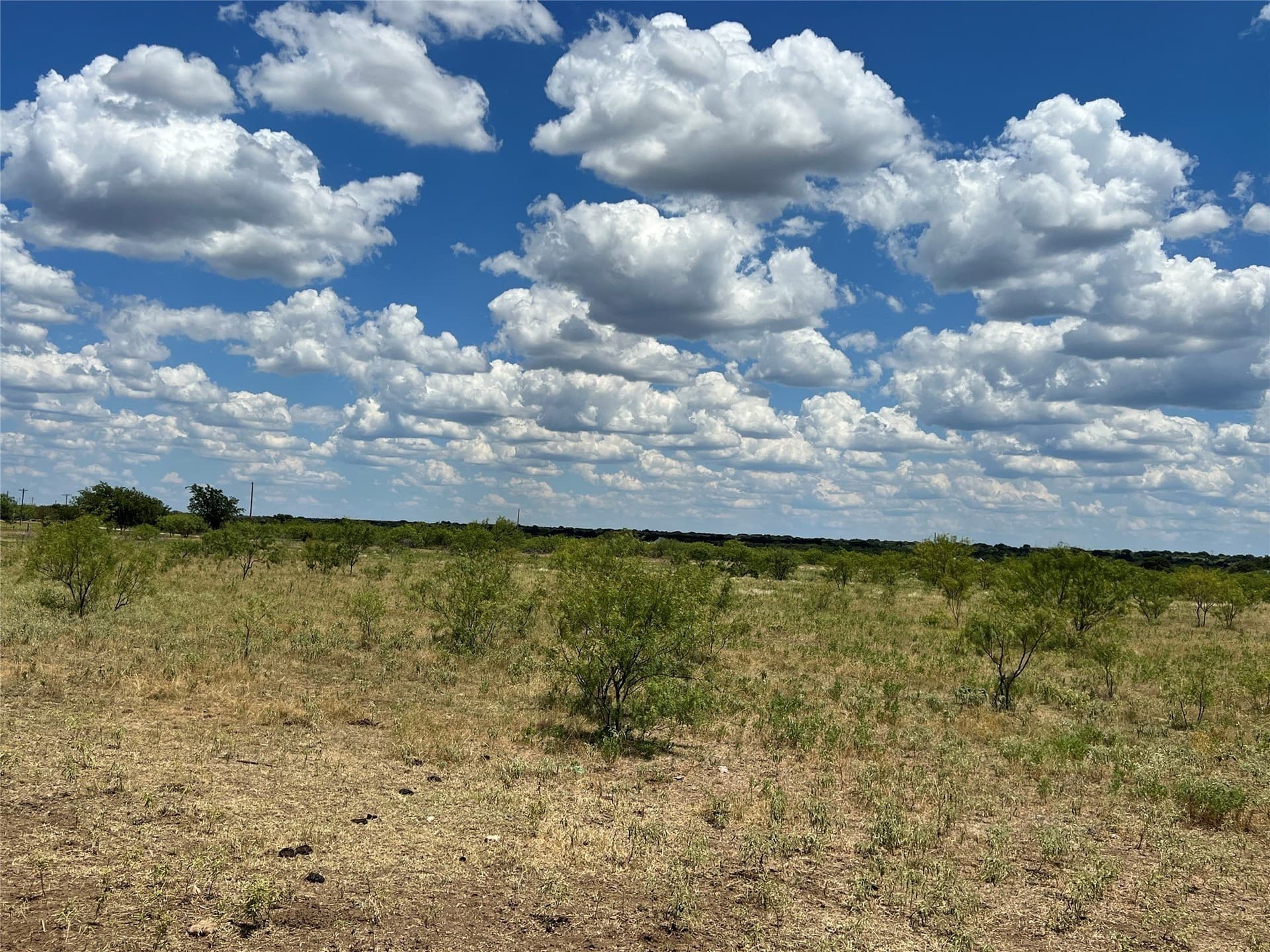 25.94 acres in Young County - photo 10
