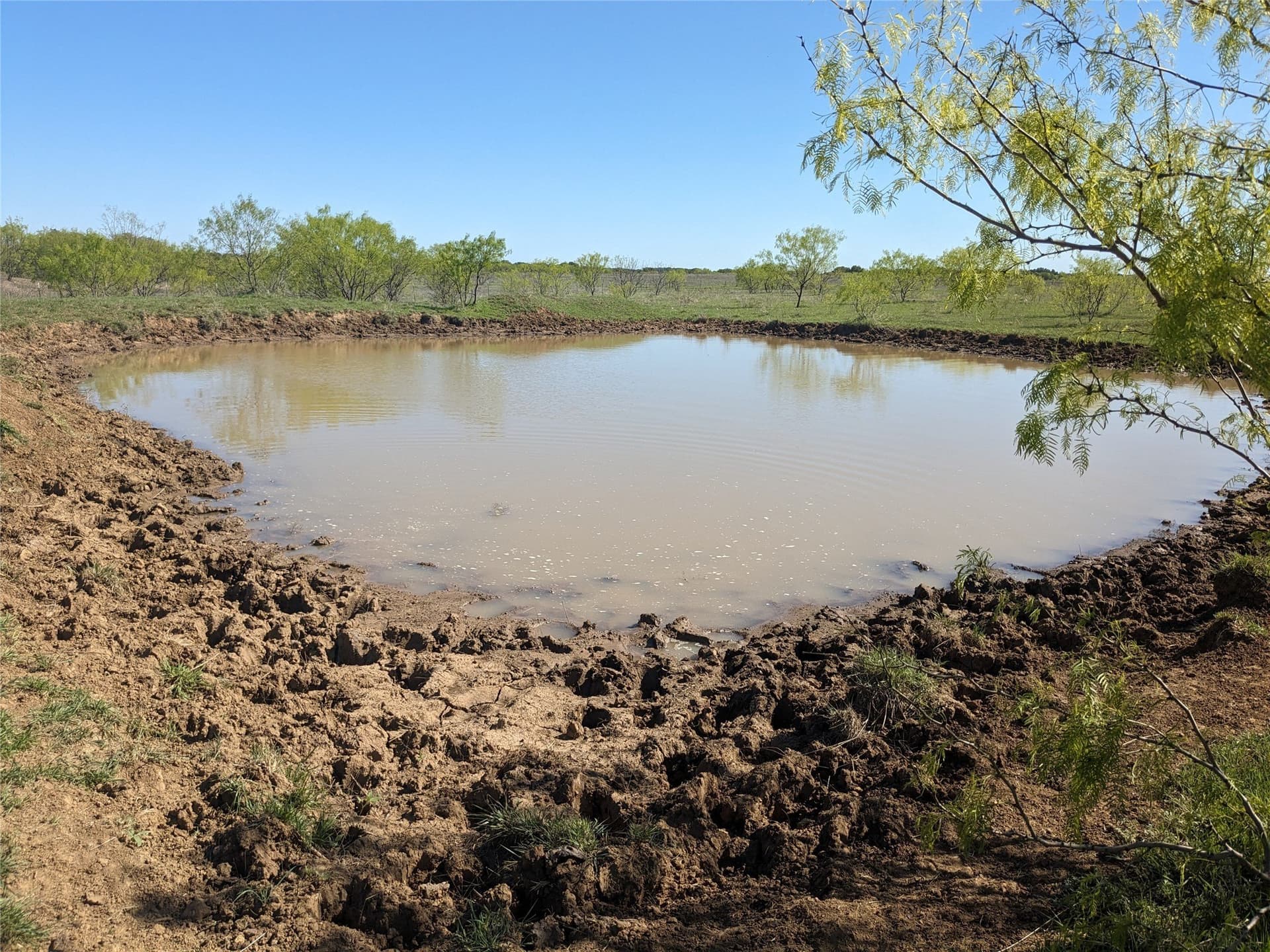 25.94 acres in Young County - photo 5