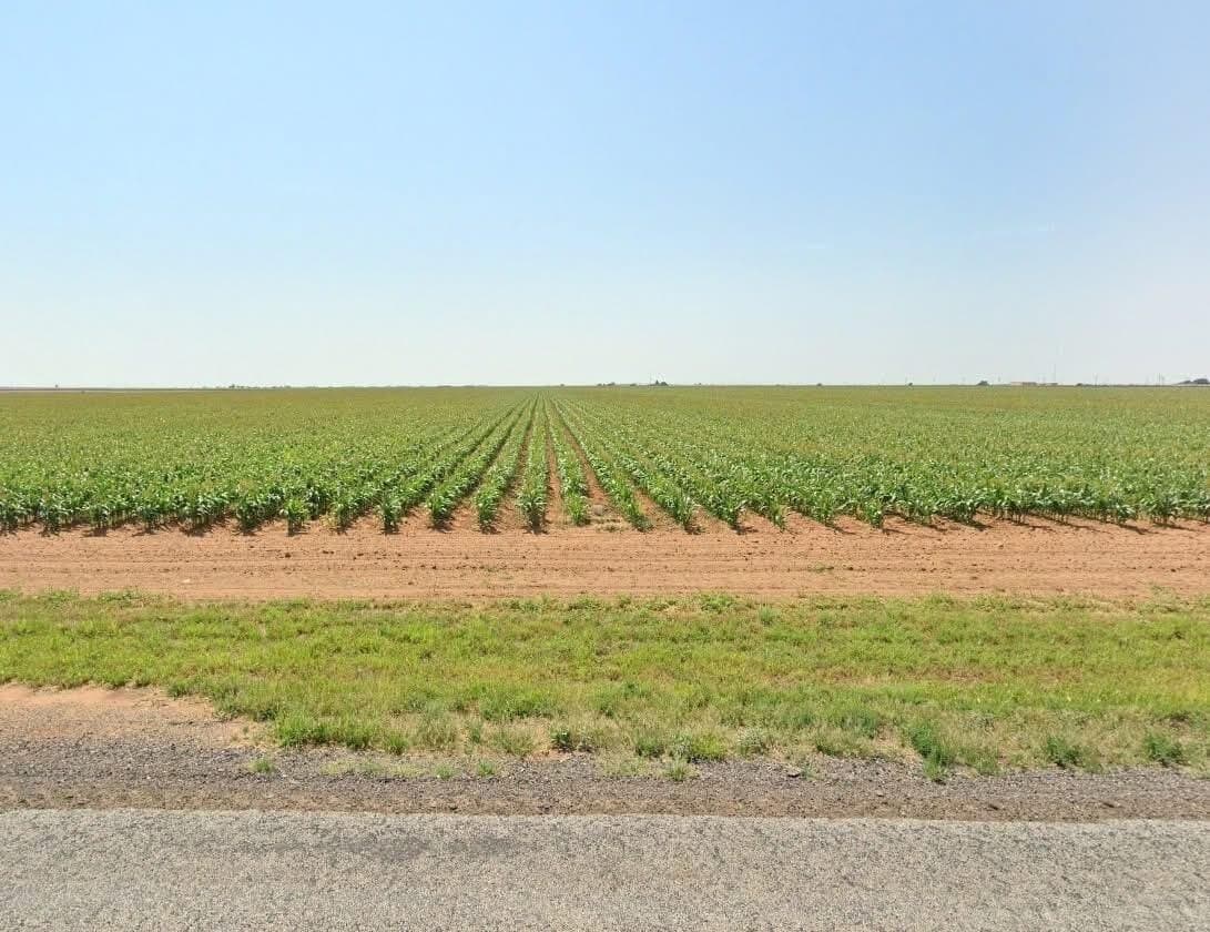 10.01 acres in Lubbock County