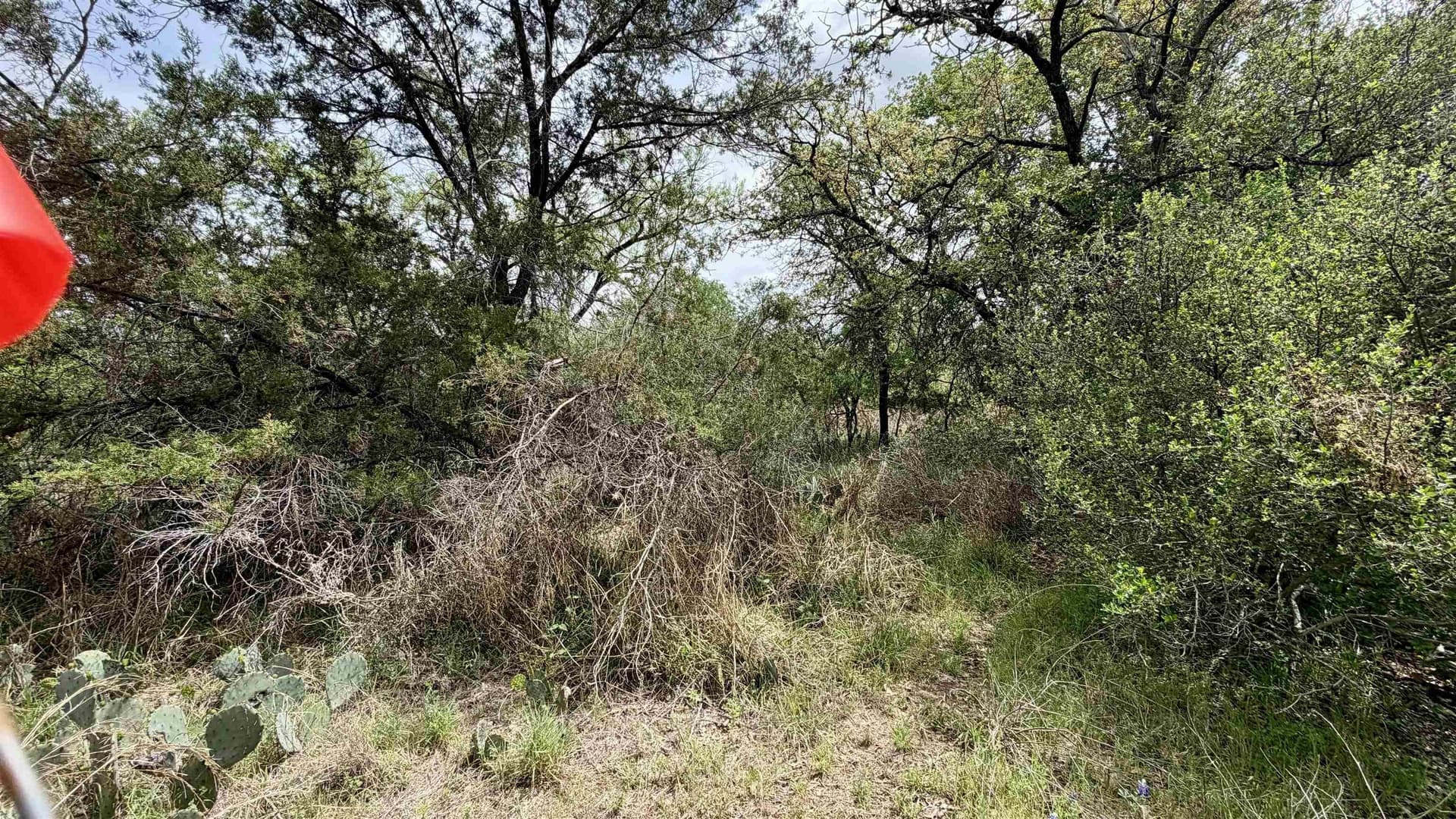 0.56 acres in Llano County gallery image 3