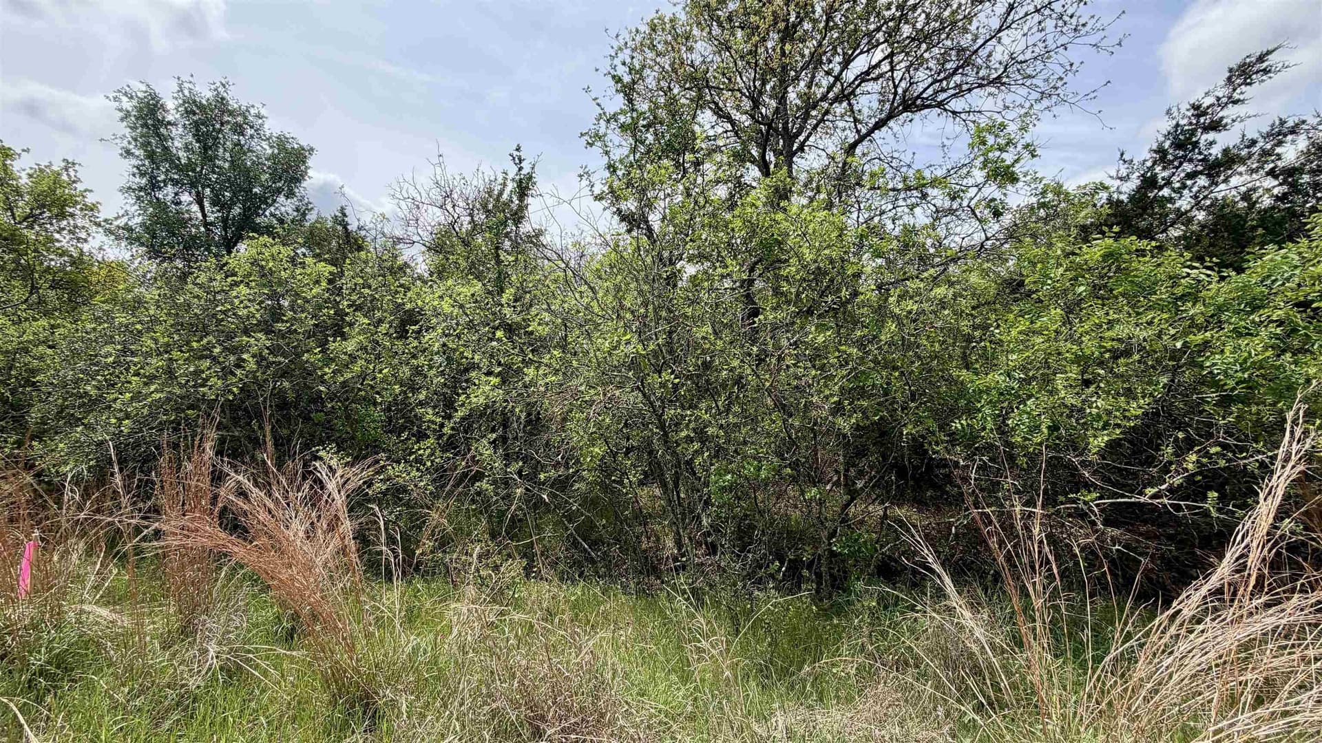 0.56 acres in Llano County gallery image 4