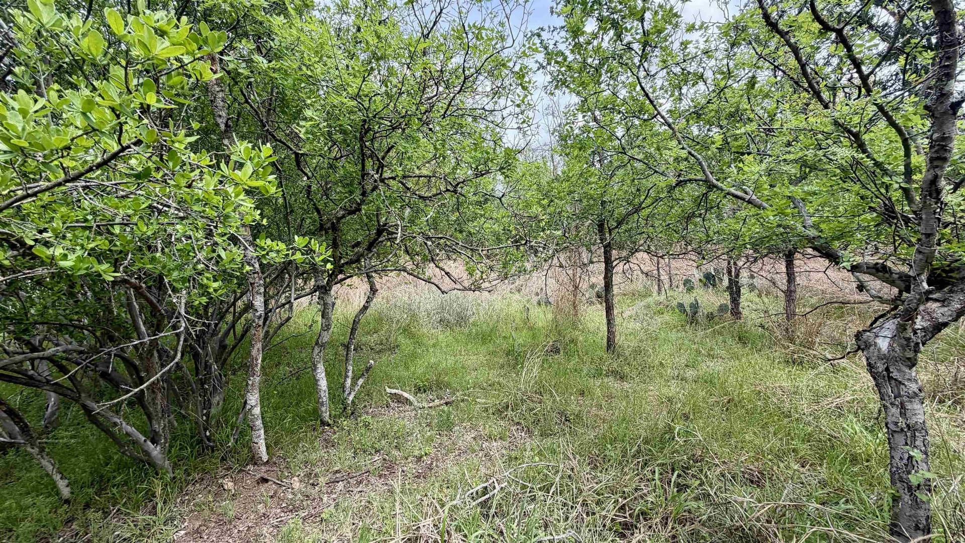 0.56 acres in Llano County - photo 21