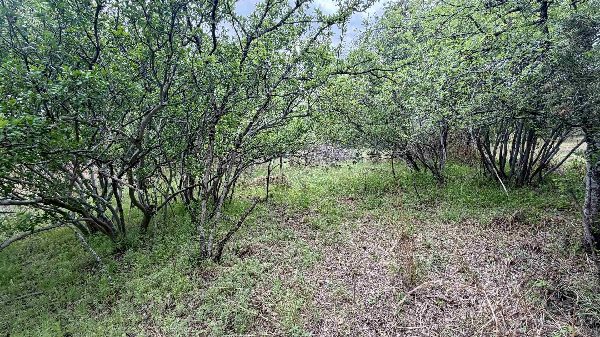 0.56 acres in Llano County - photo 13