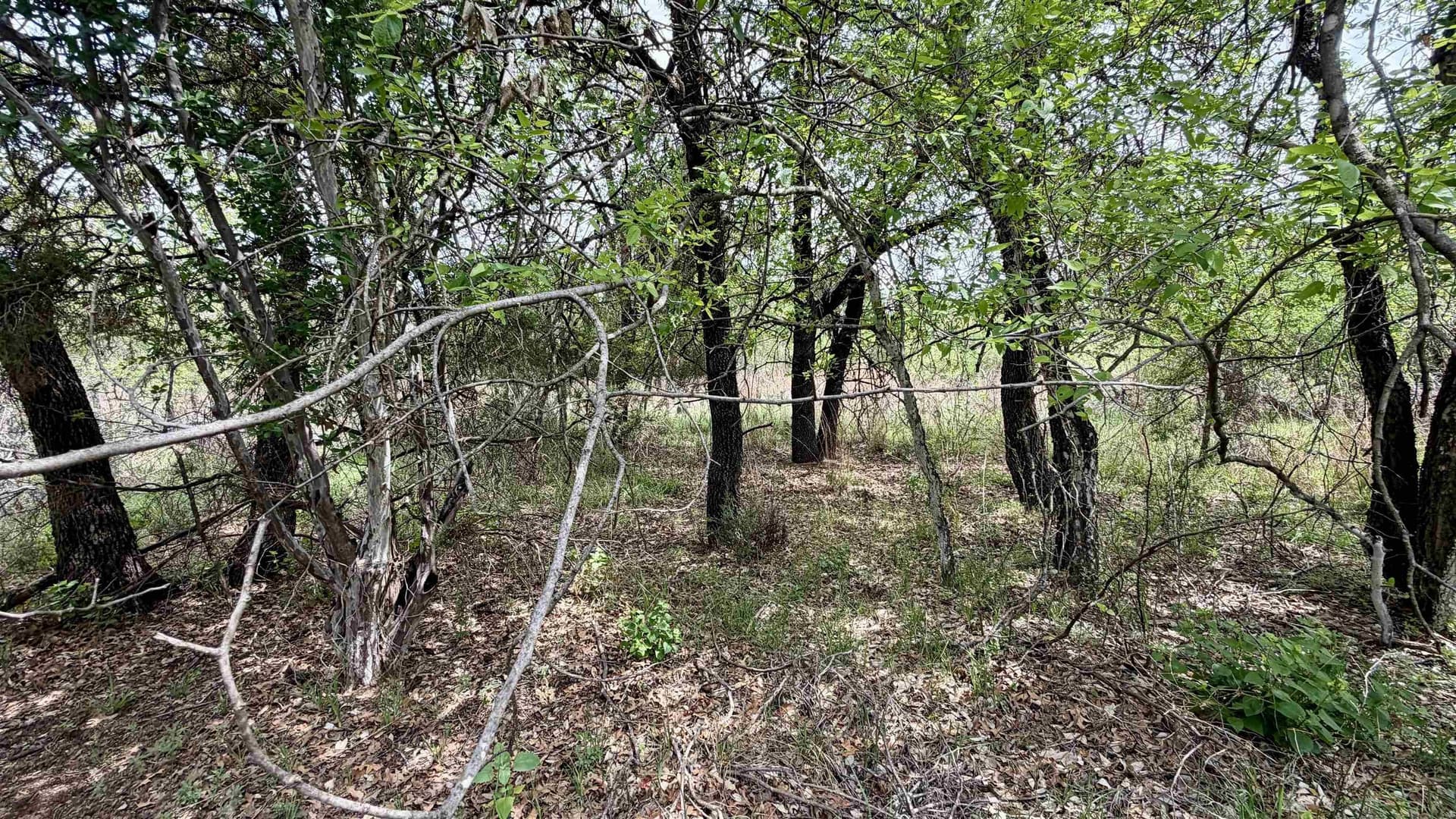 0.56 acres in Llano County - photo 14