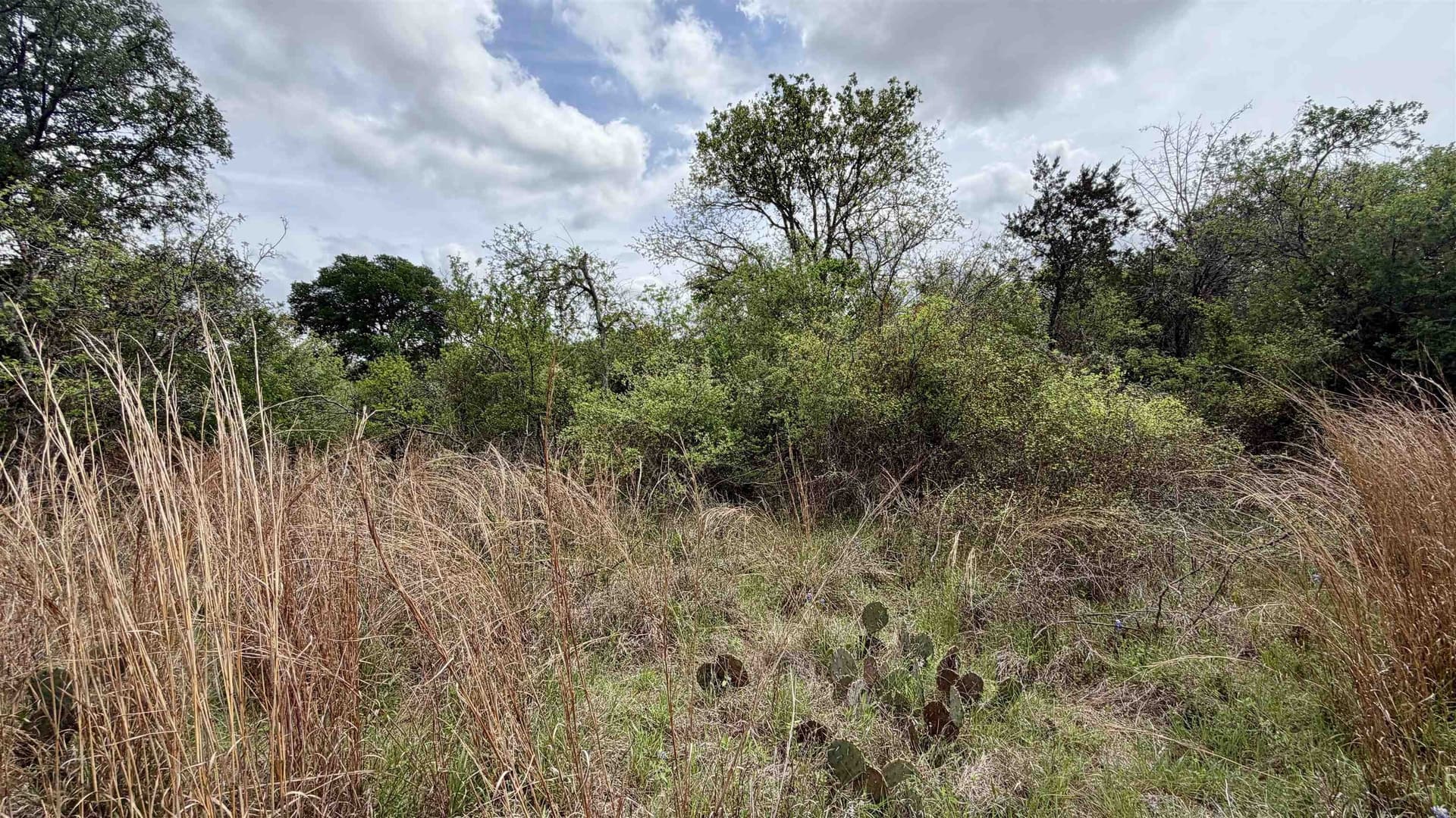 0.56 acres in Llano County - photo 28