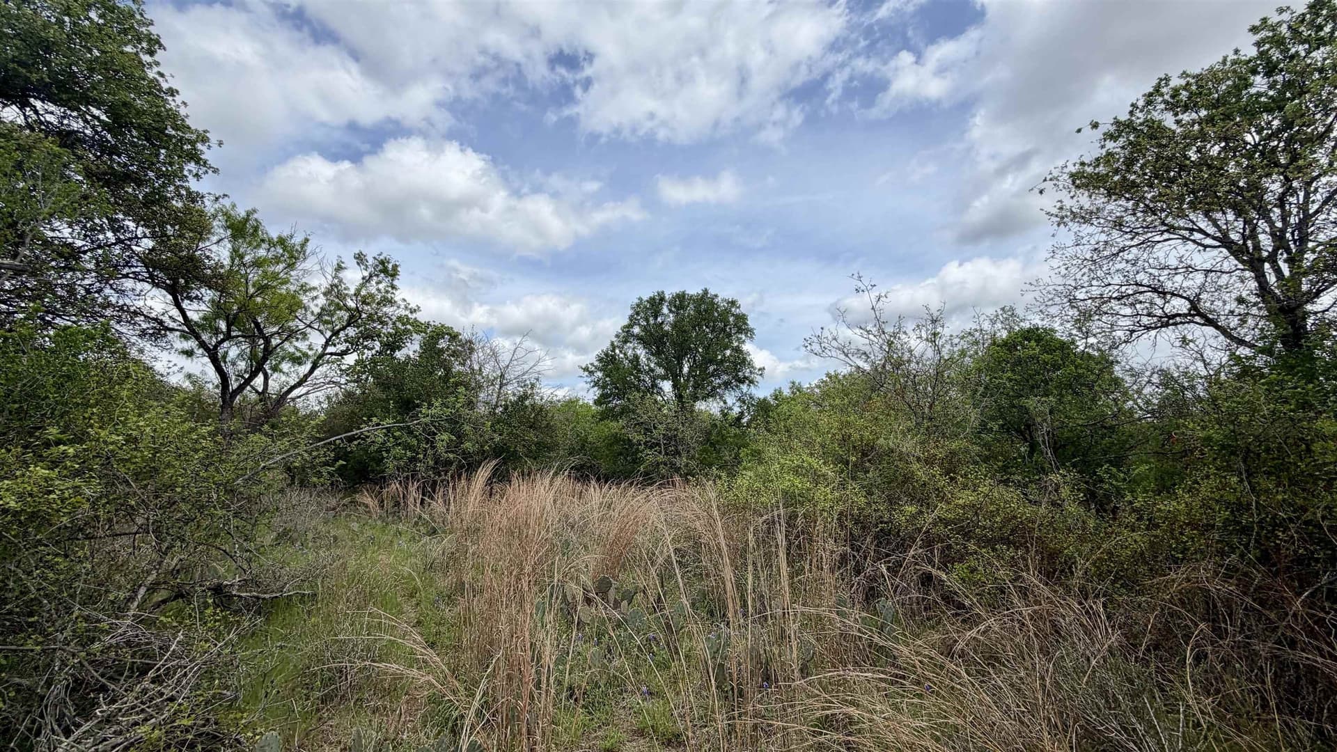 0.56 acres in Llano County - photo 25