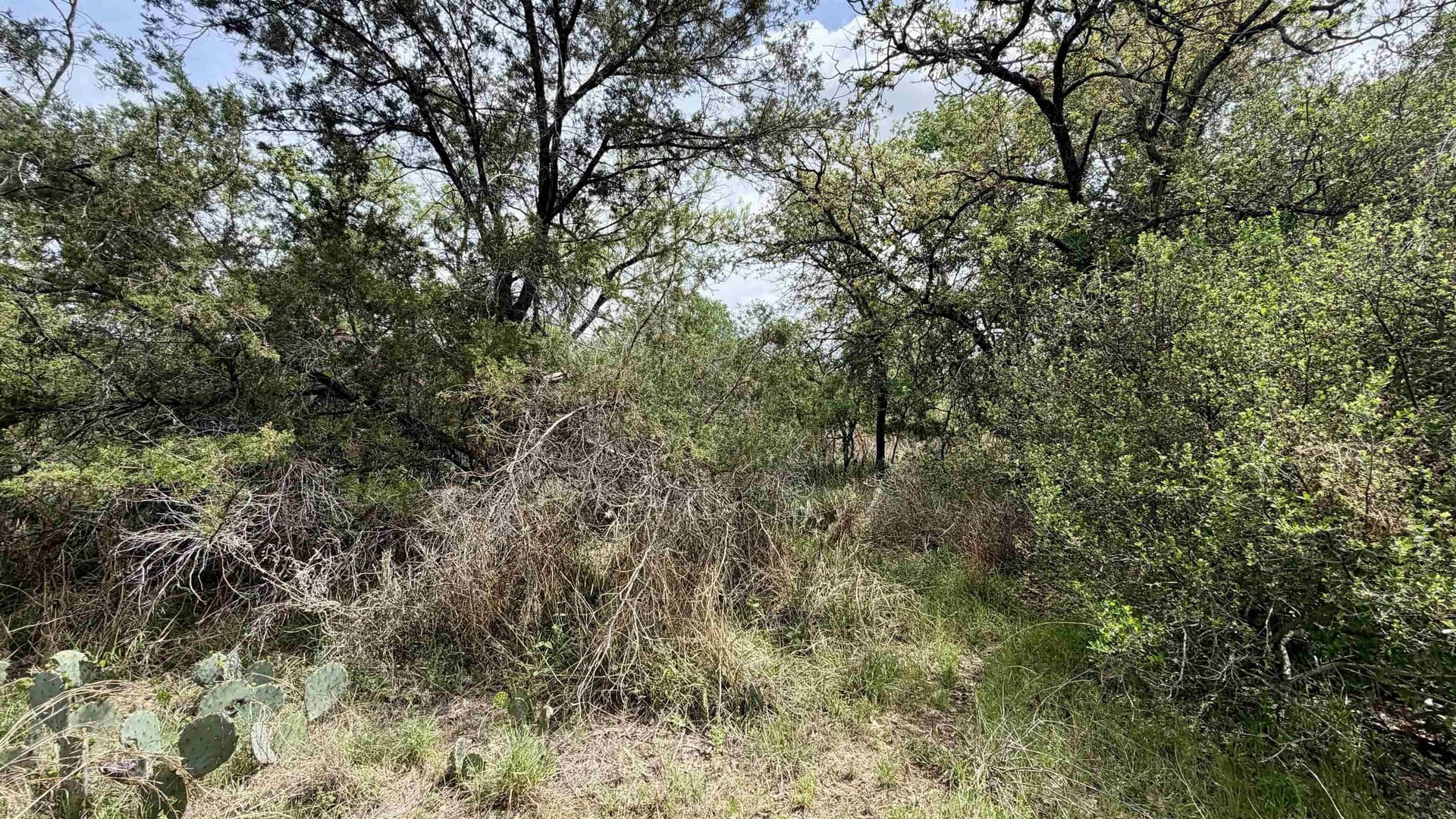 0.56 acres in Llano County - photo 15