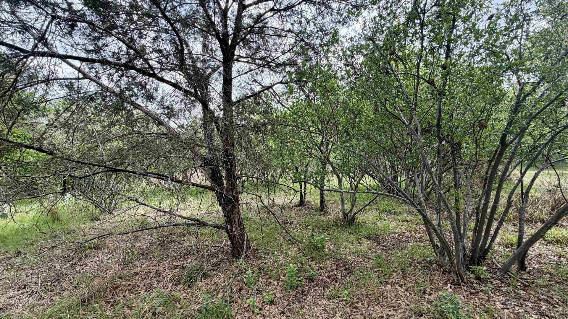 0.56 acres in Llano County - photo 10