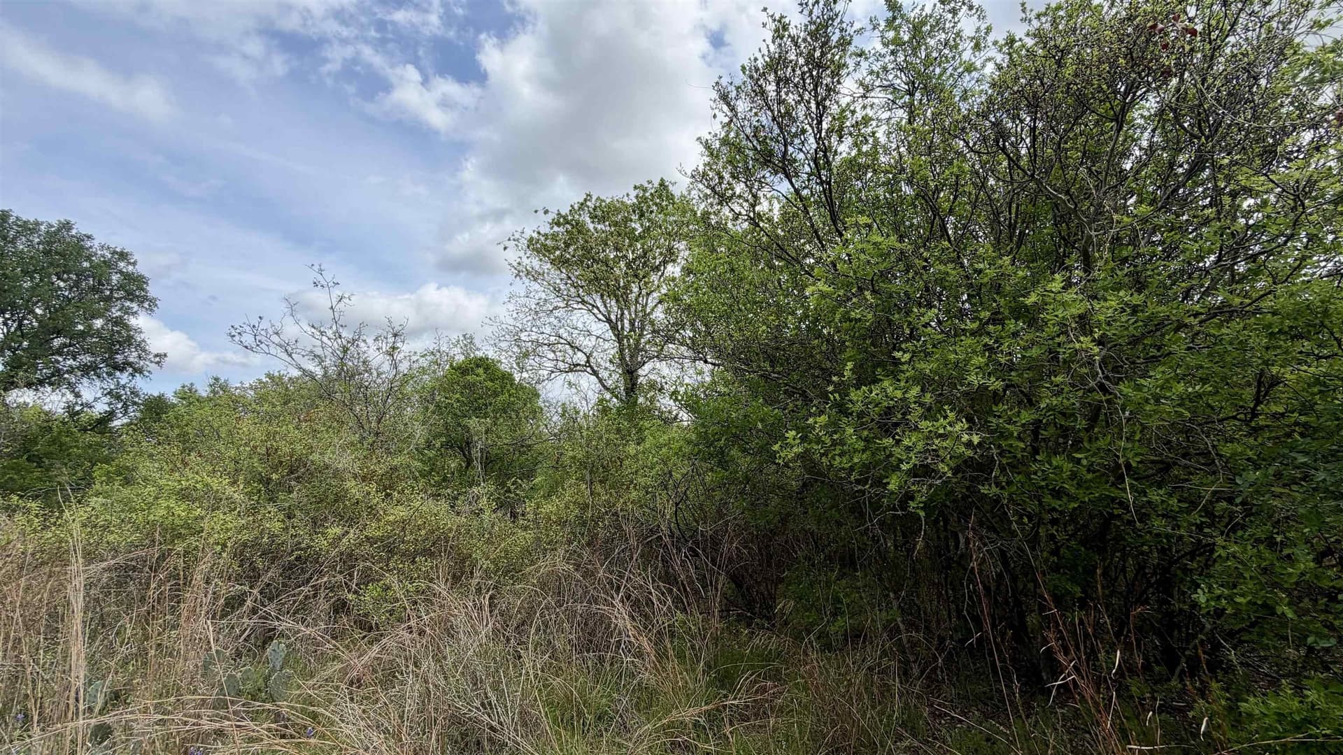 0.56 acres in Llano County - photo 26