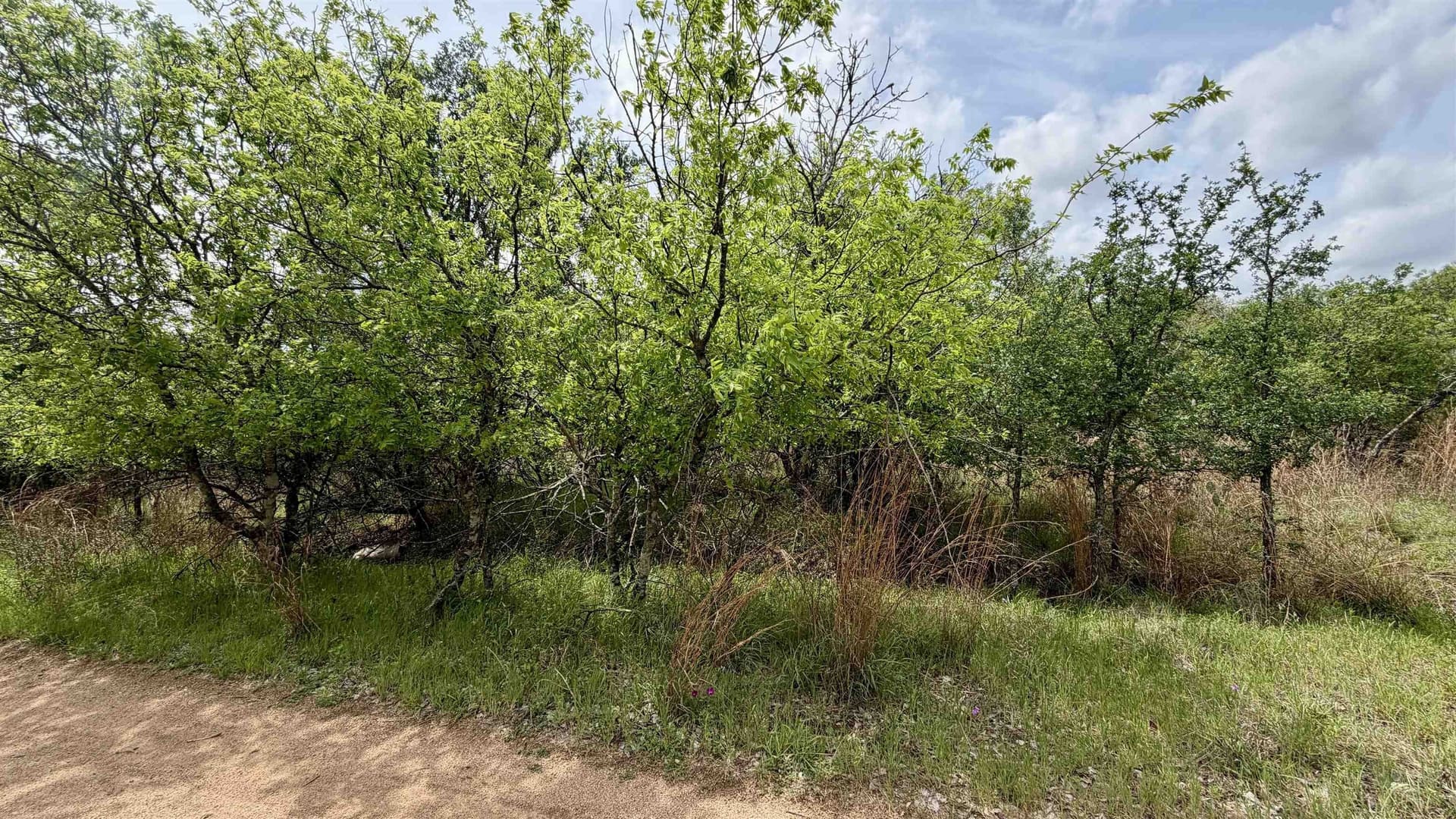 0.56 acres in Llano County - photo 29