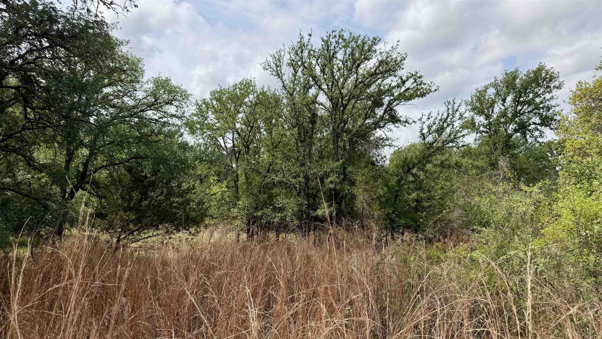 0.56 acres in Llano County gallery image 2