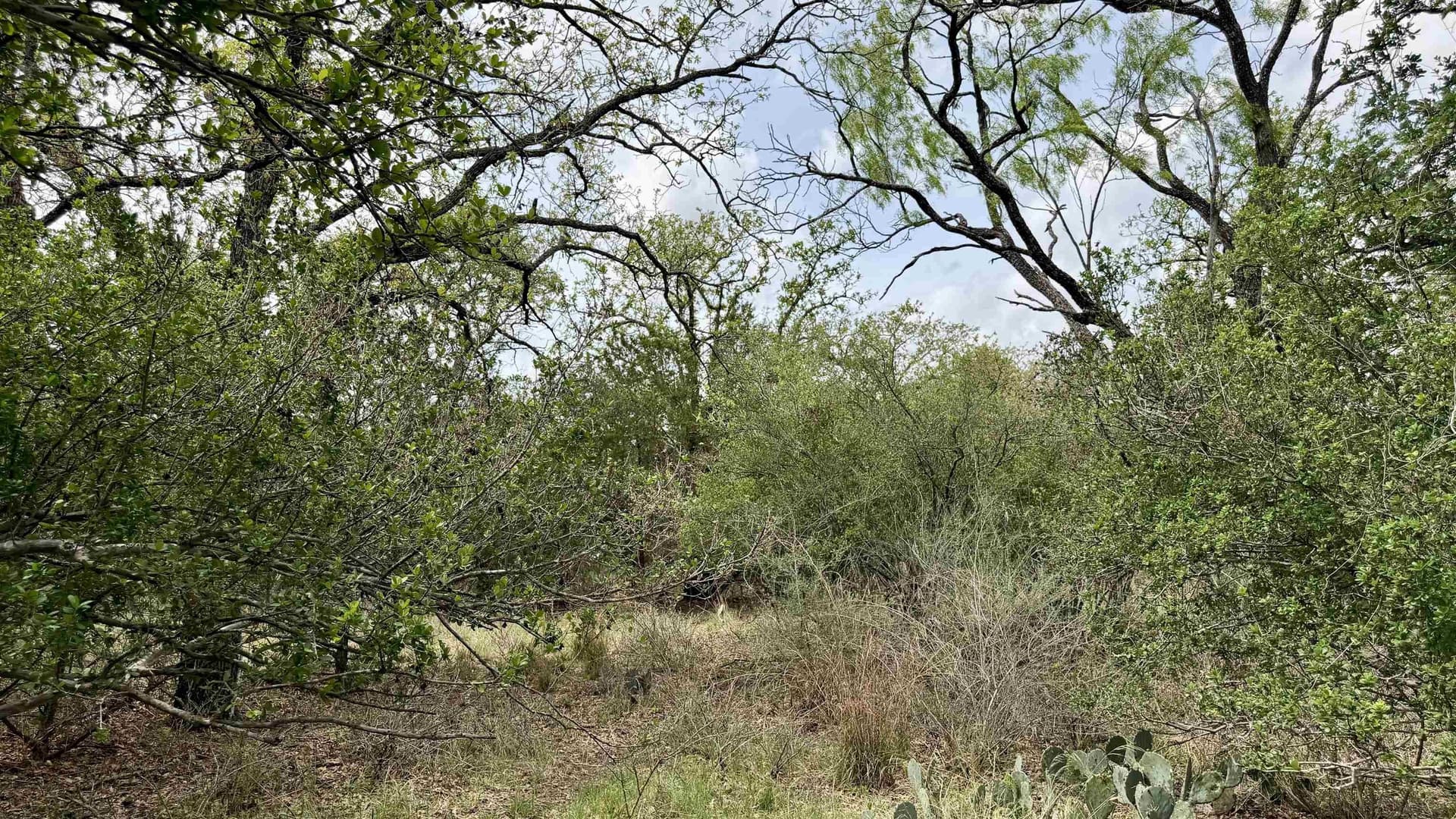 0.56 acres in Llano County - photo 17