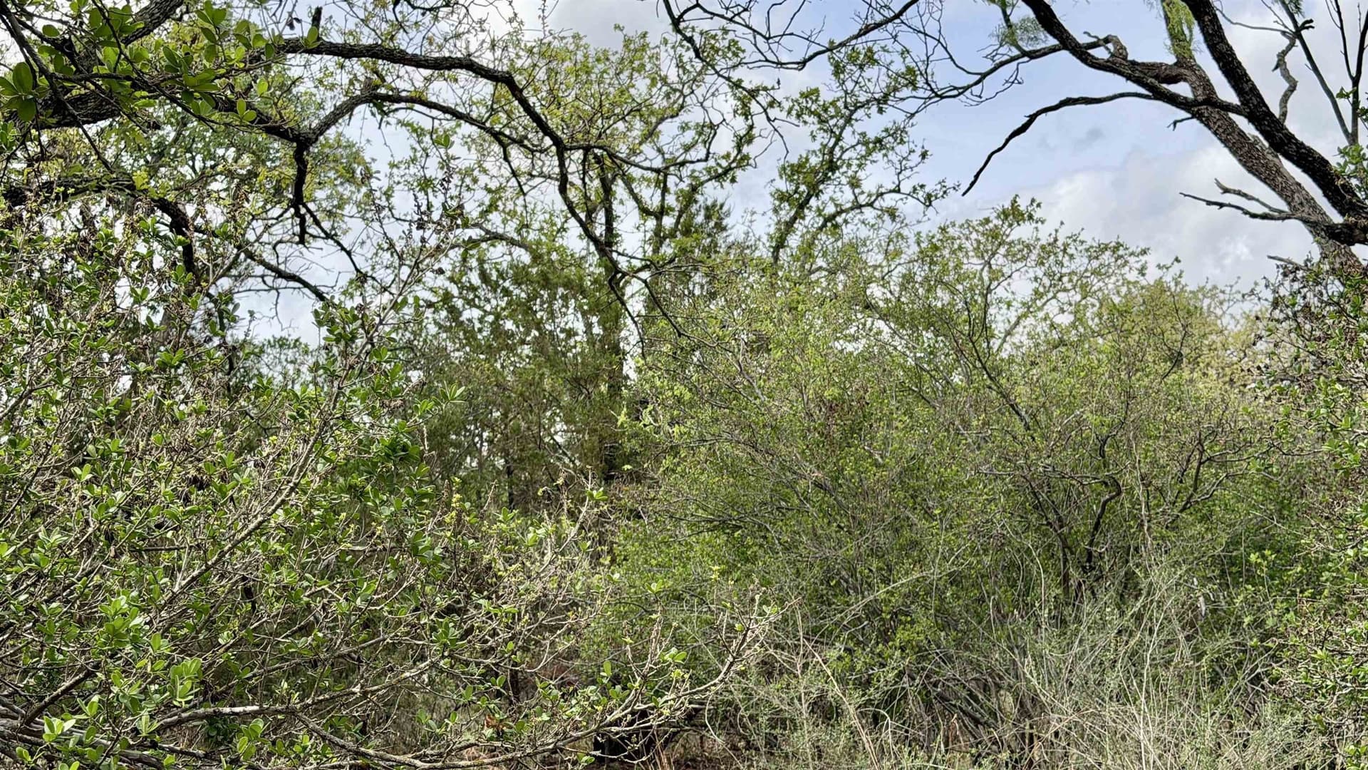 0.56 acres in Llano County - photo 16