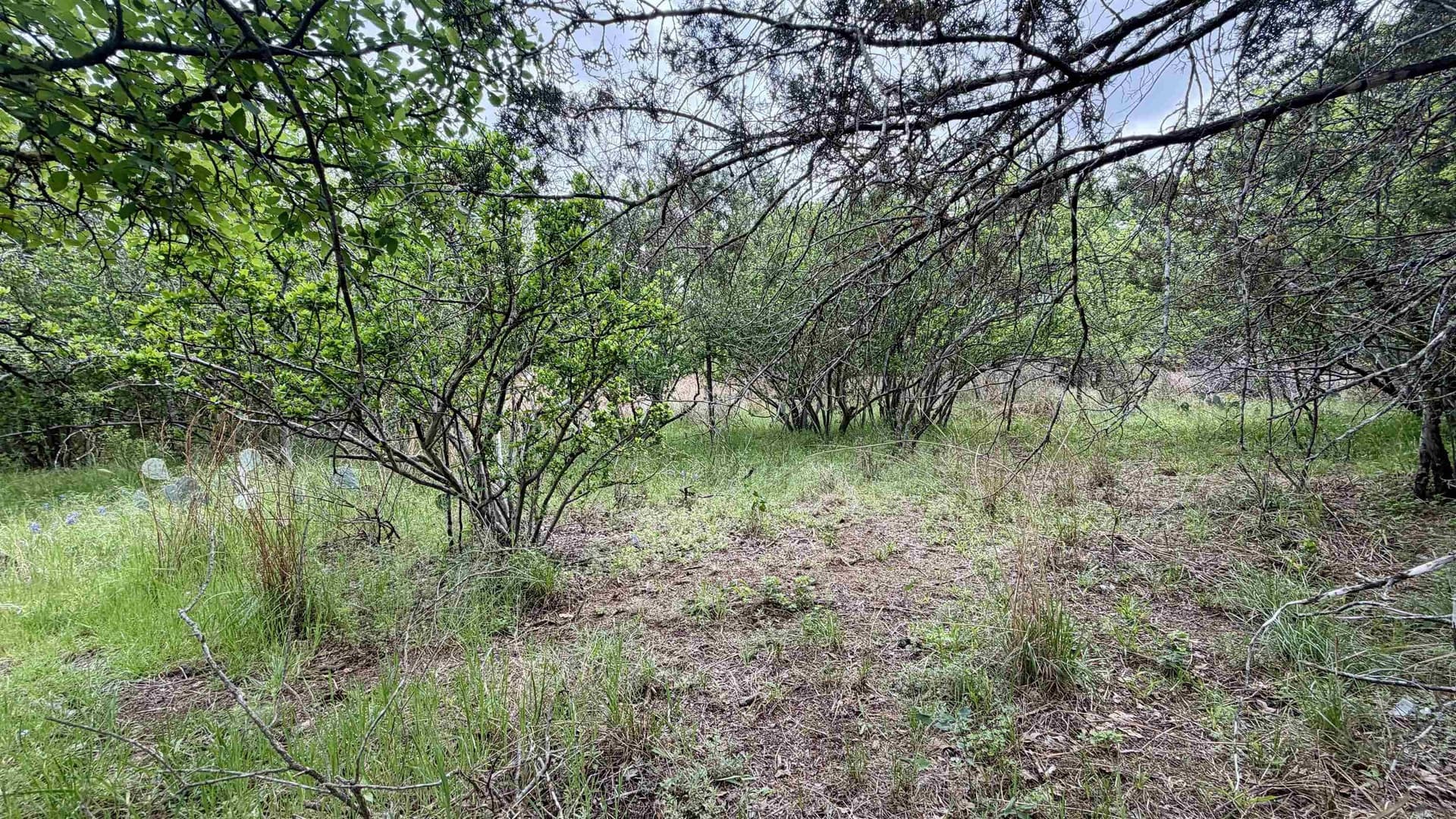 0.56 acres in Llano County - photo 19
