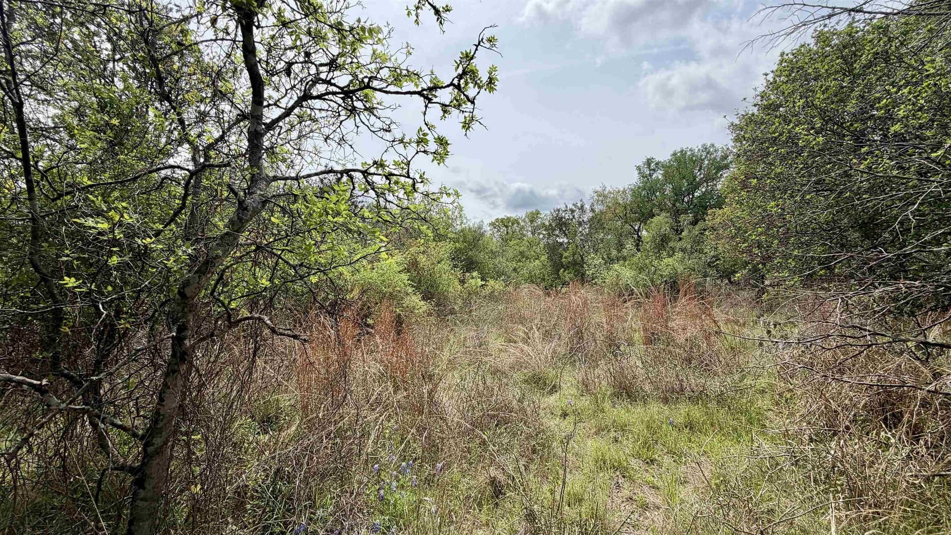 0.56 acres in Llano County - photo 6