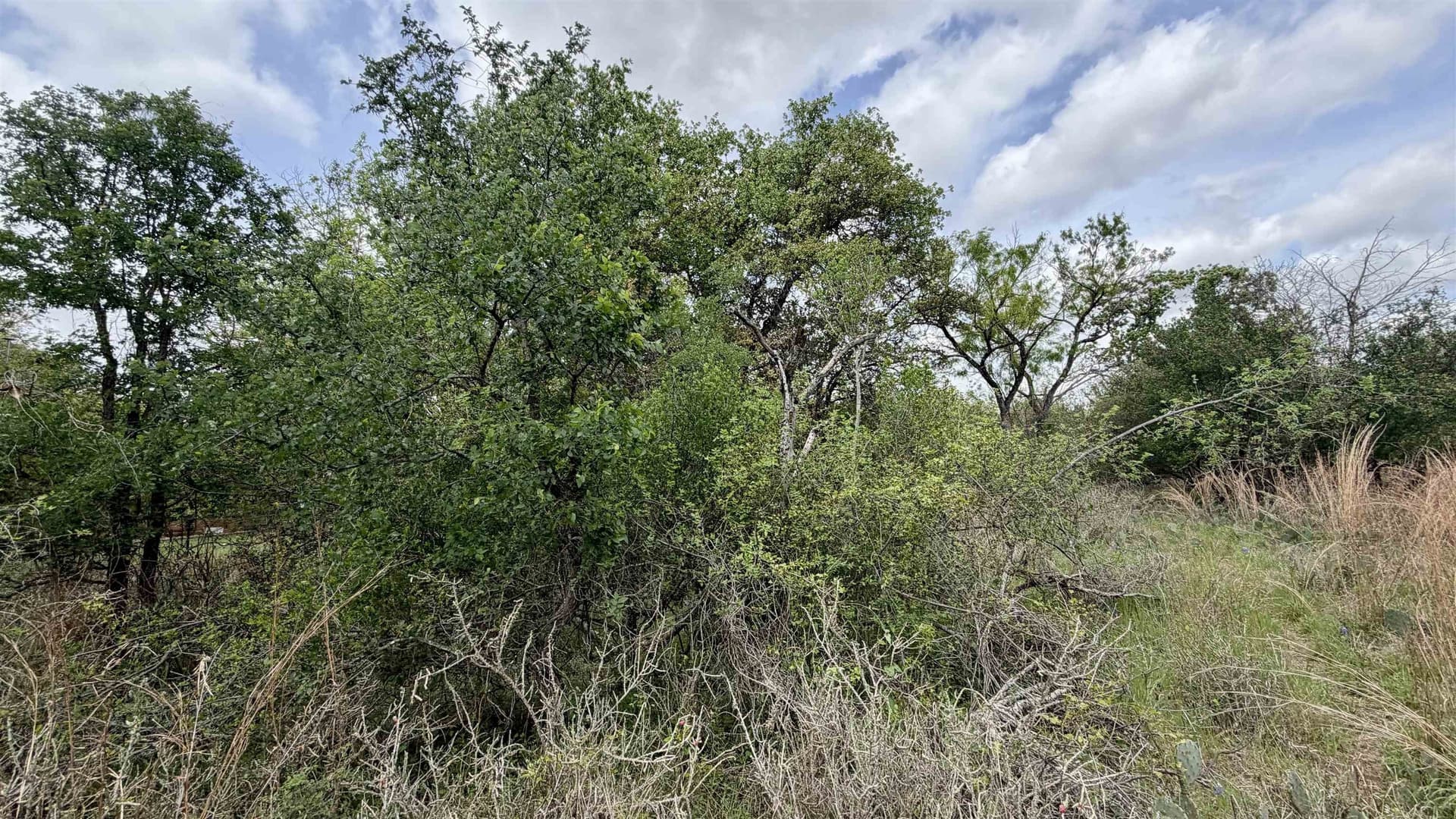 0.56 acres in Llano County - photo 24
