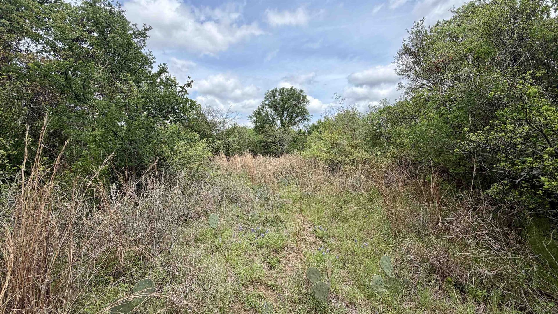 0.56 acres in Llano County - photo 23