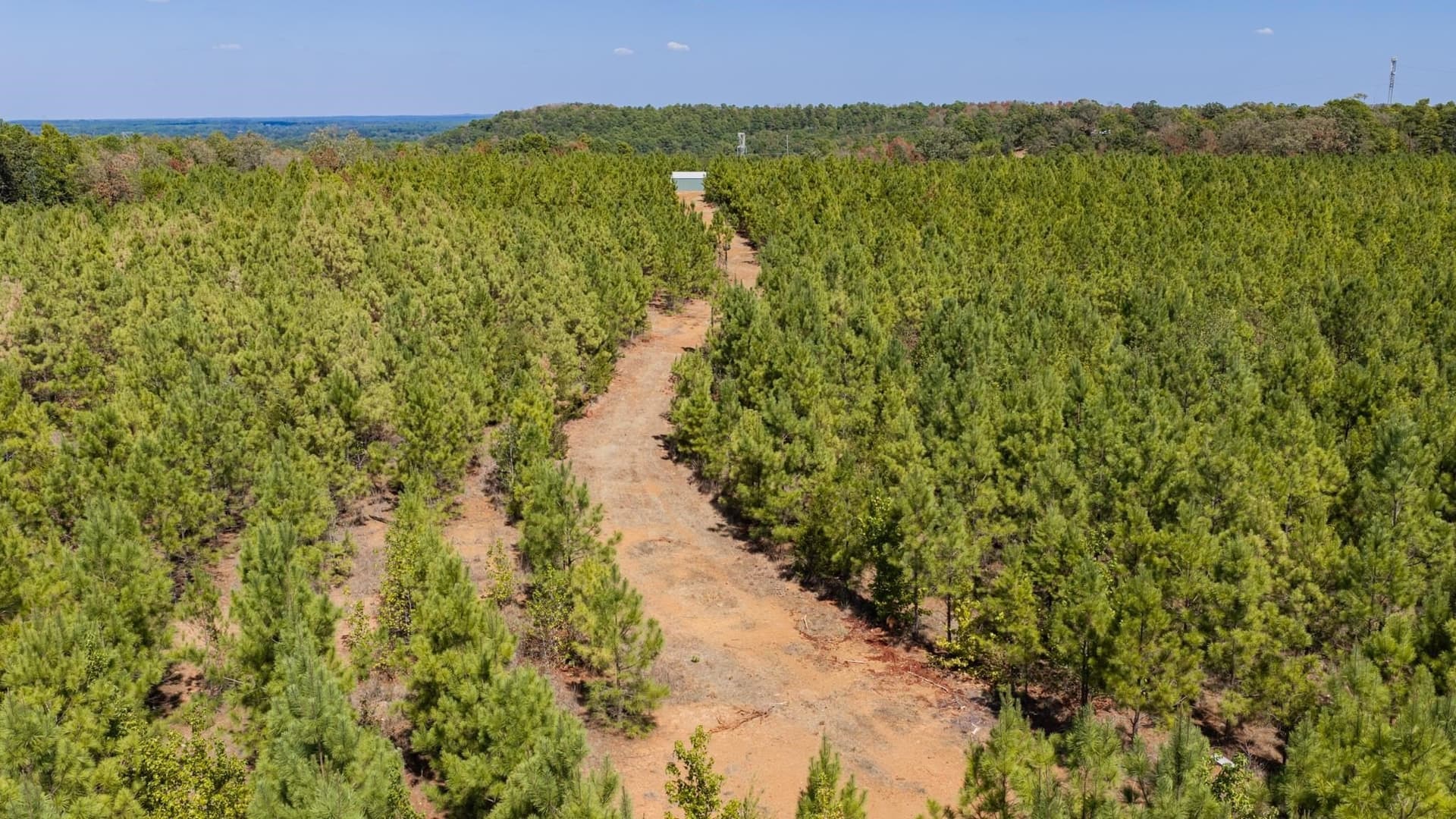 37.11 acres in Cass County - photo 31