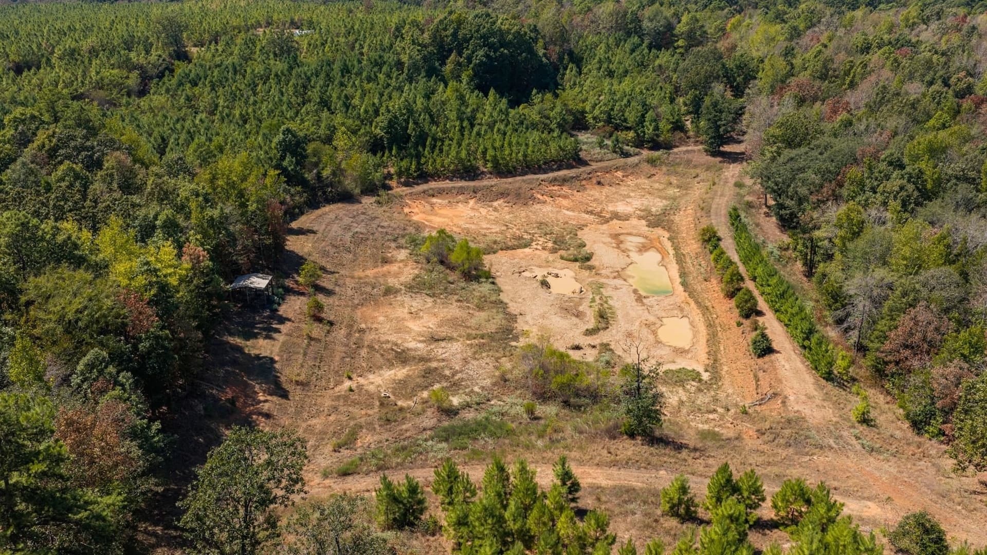 37.11 acres in Cass County - photo 23