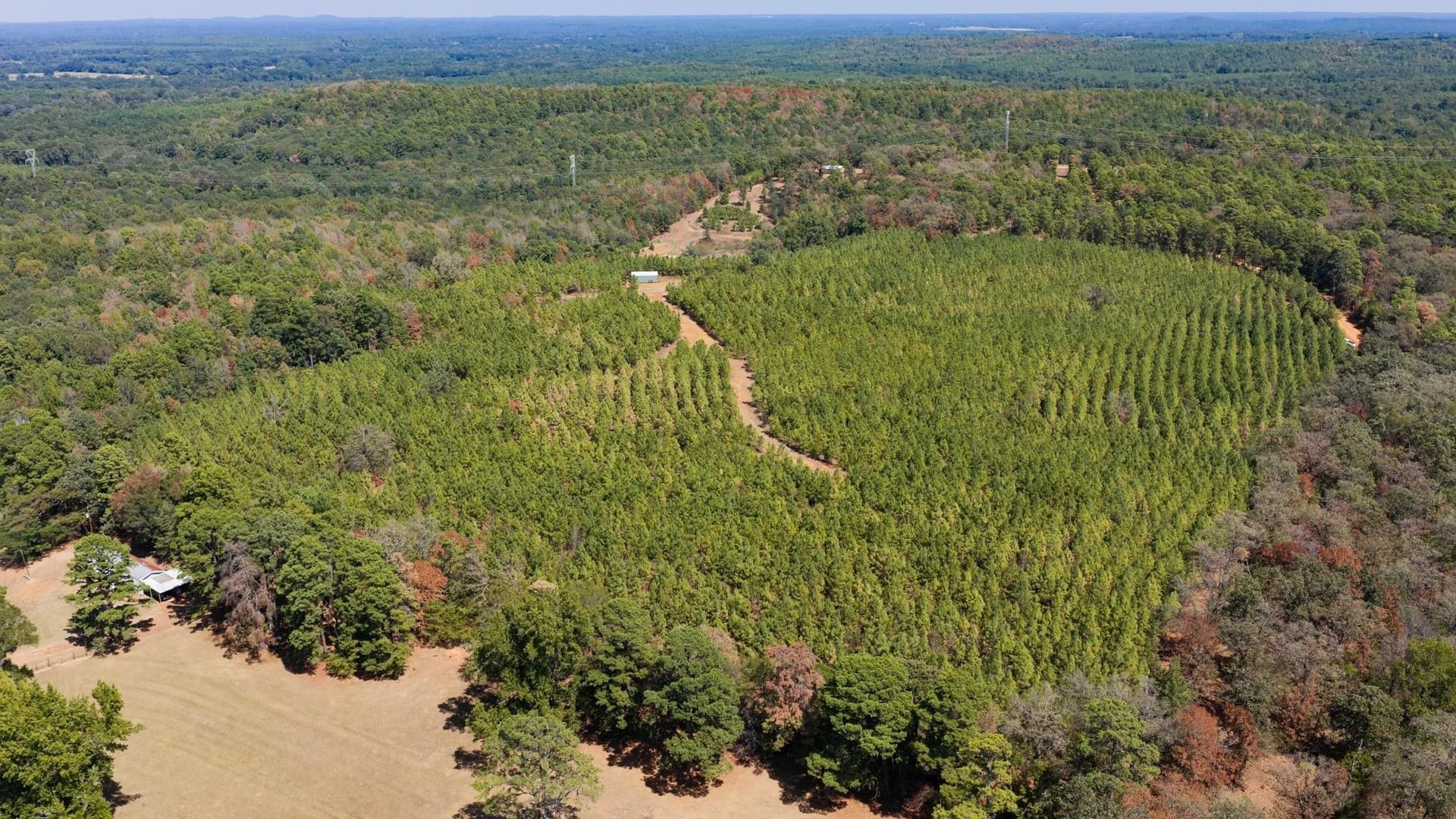 37.11 acres in Cass County - photo 33