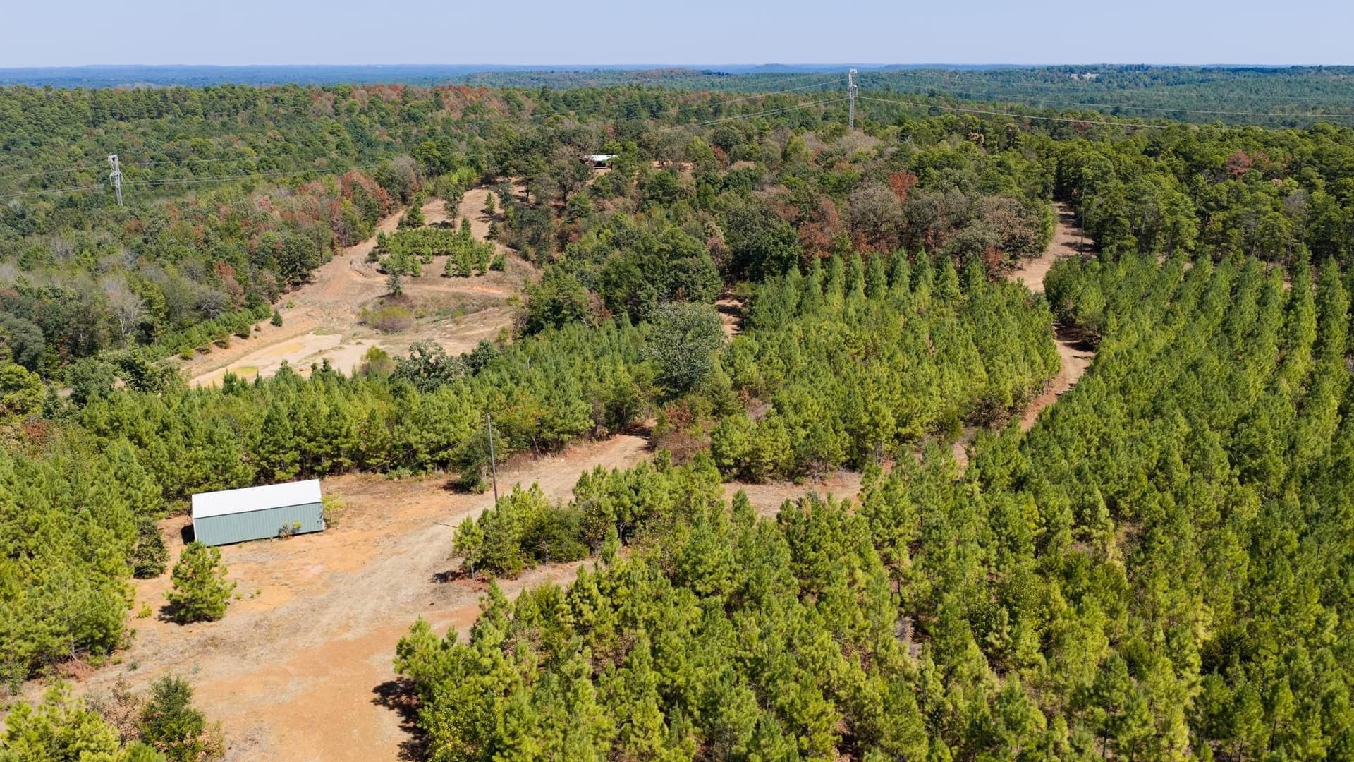 37.11 acres in Cass County - photo 29