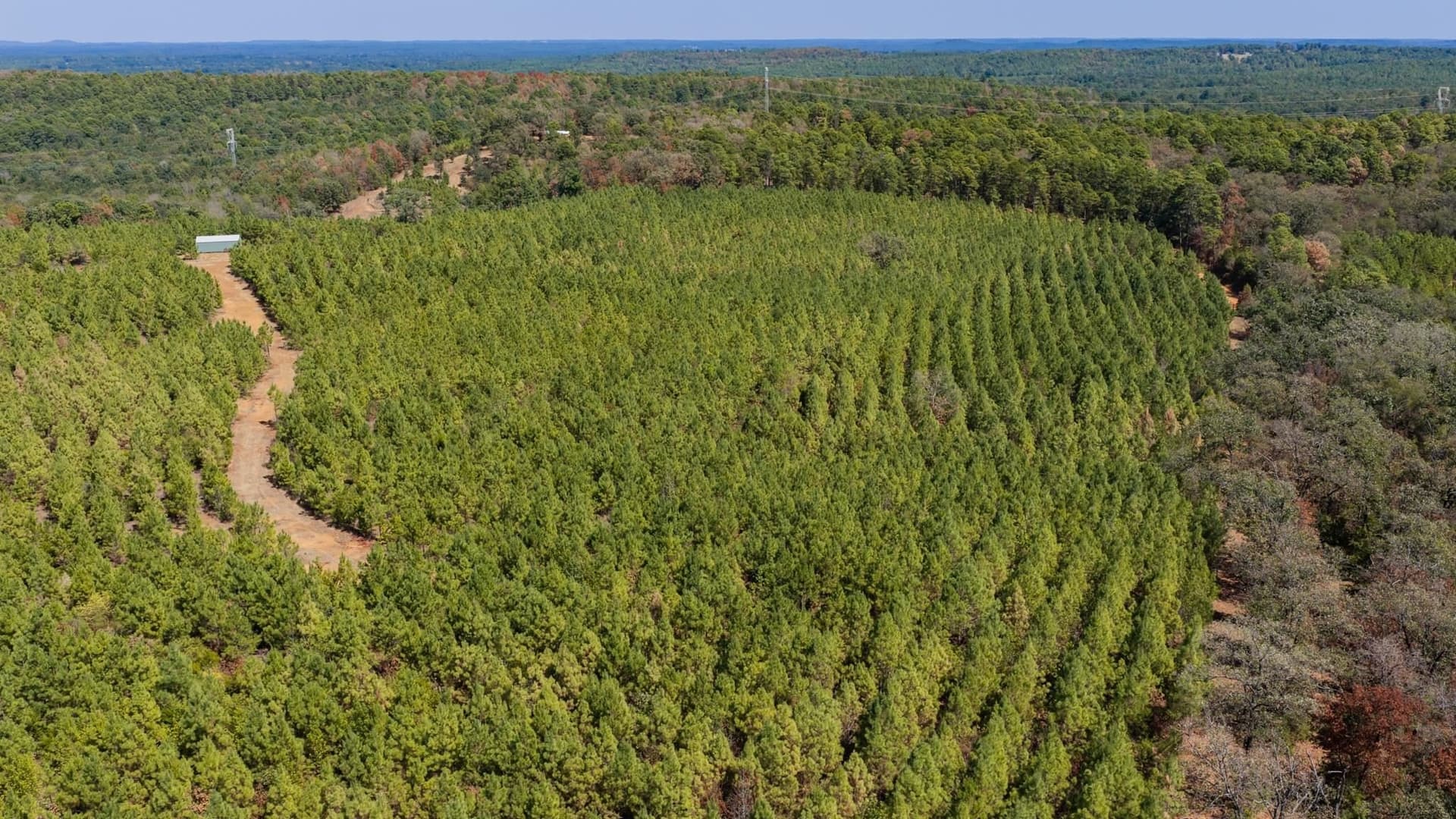 37.11 acres in Cass County - photo 32