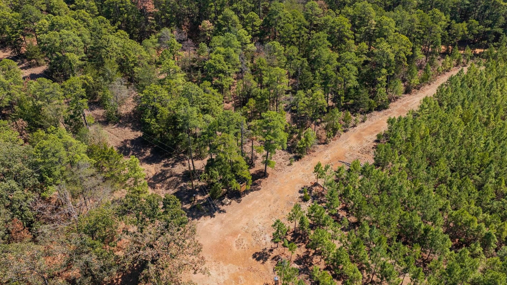 37.11 acres in Cass County - photo 26