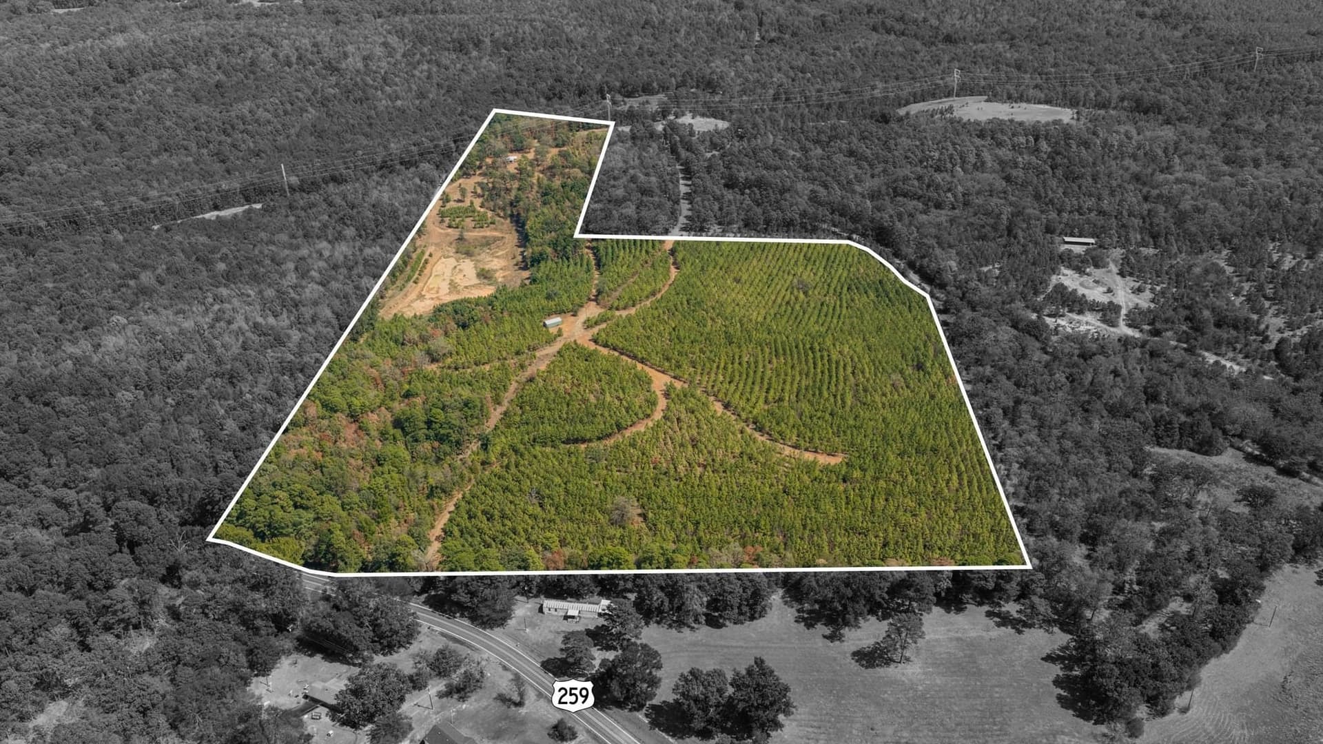 37.11 acres in Cass County - photo 36