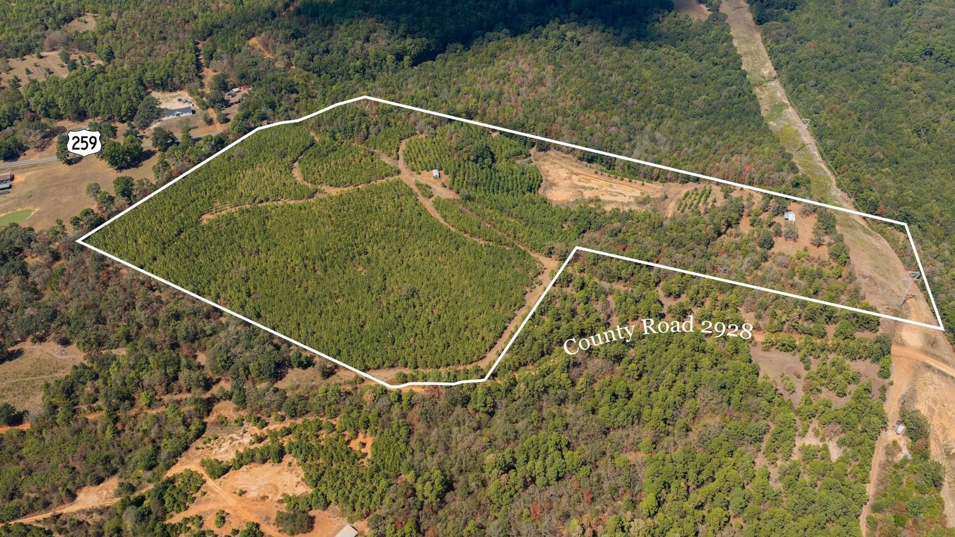 37.11 acres in Cass County - photo 13