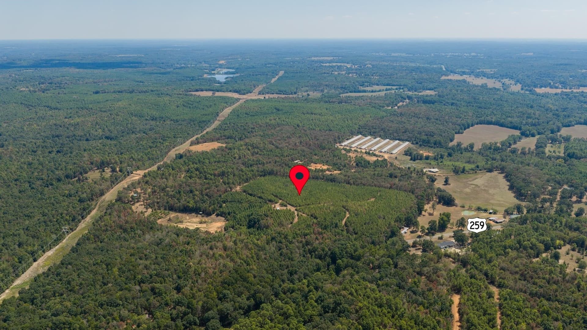 37.11 acres in Cass County - photo 7