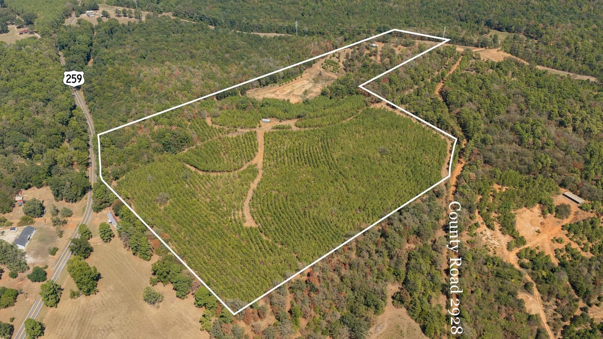 37.11 acres in Cass County - photo 35