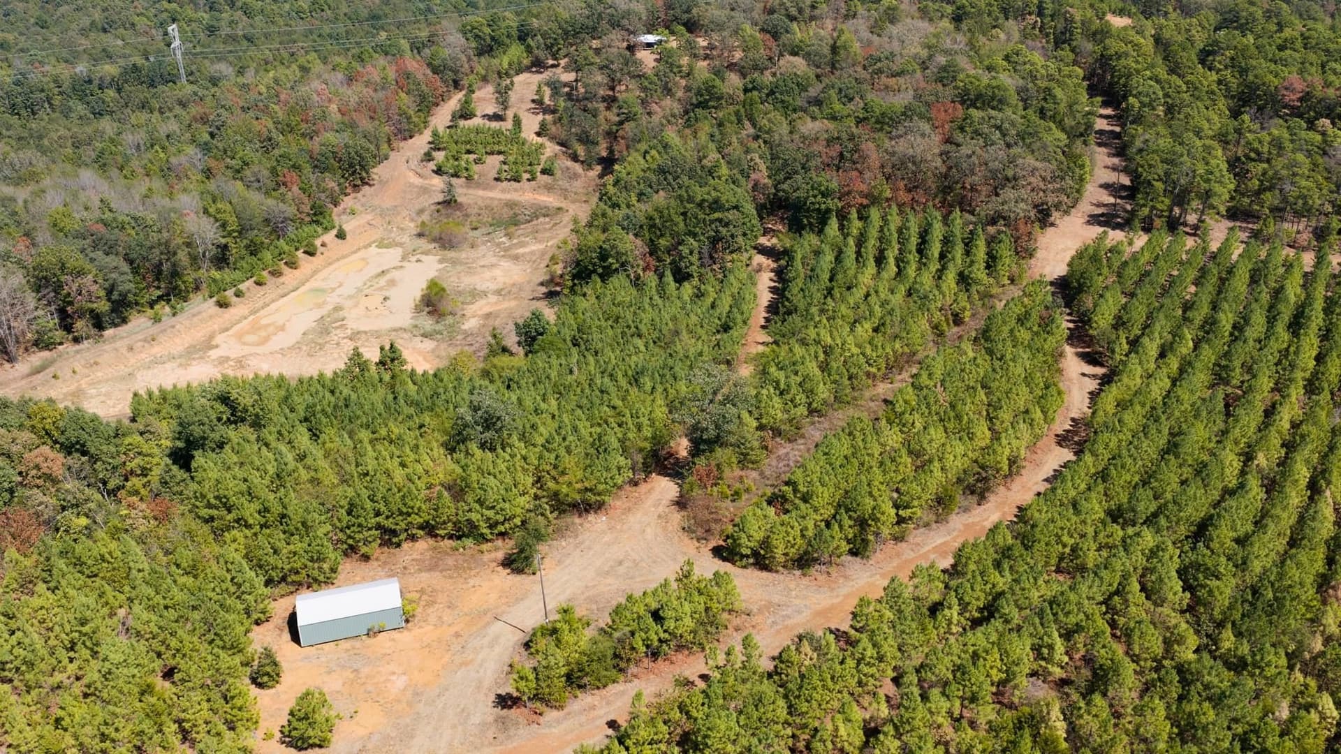 37.11 acres in Cass County - photo 28