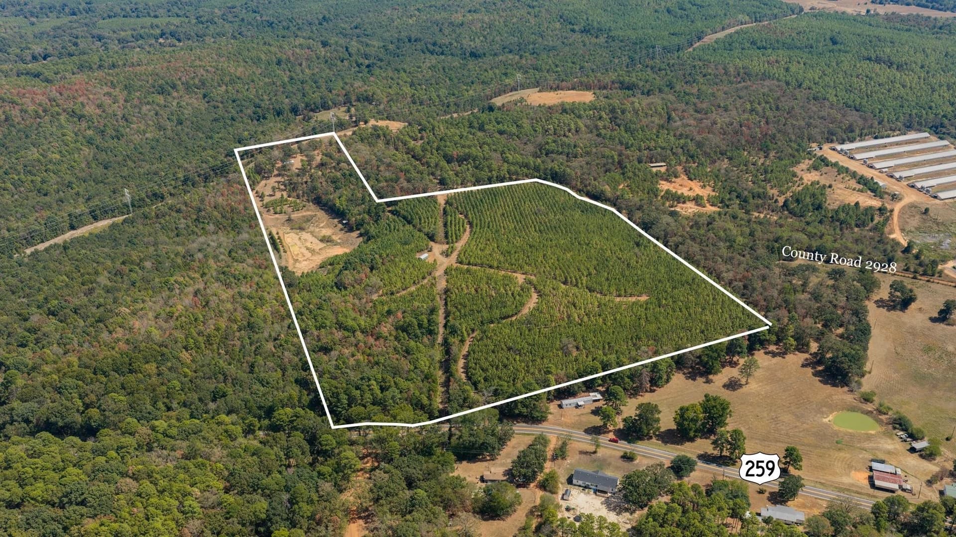 37.11 acres in Cass County - photo 40